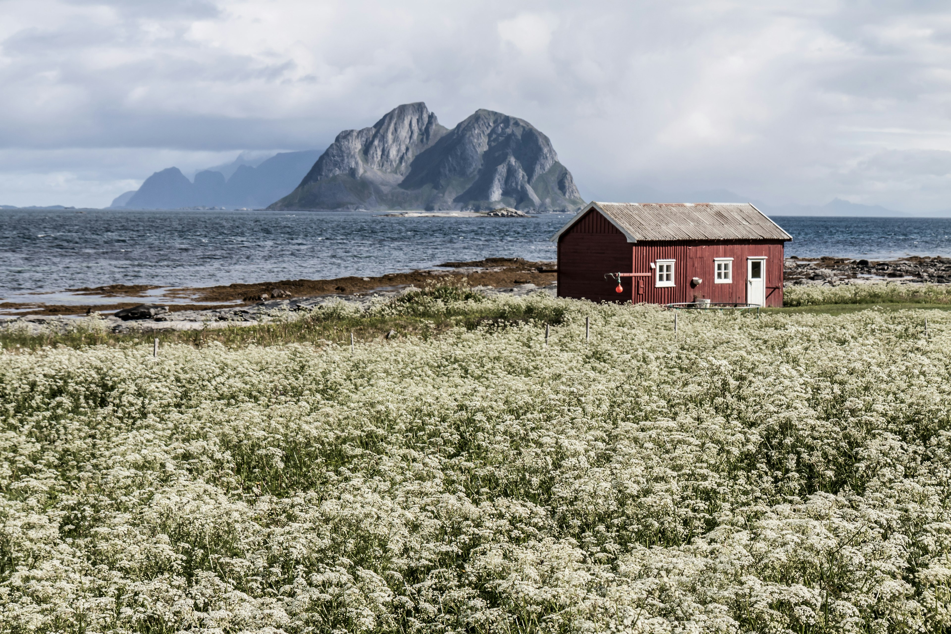 Summer view to Vaeroy island, Lofoten, Norway