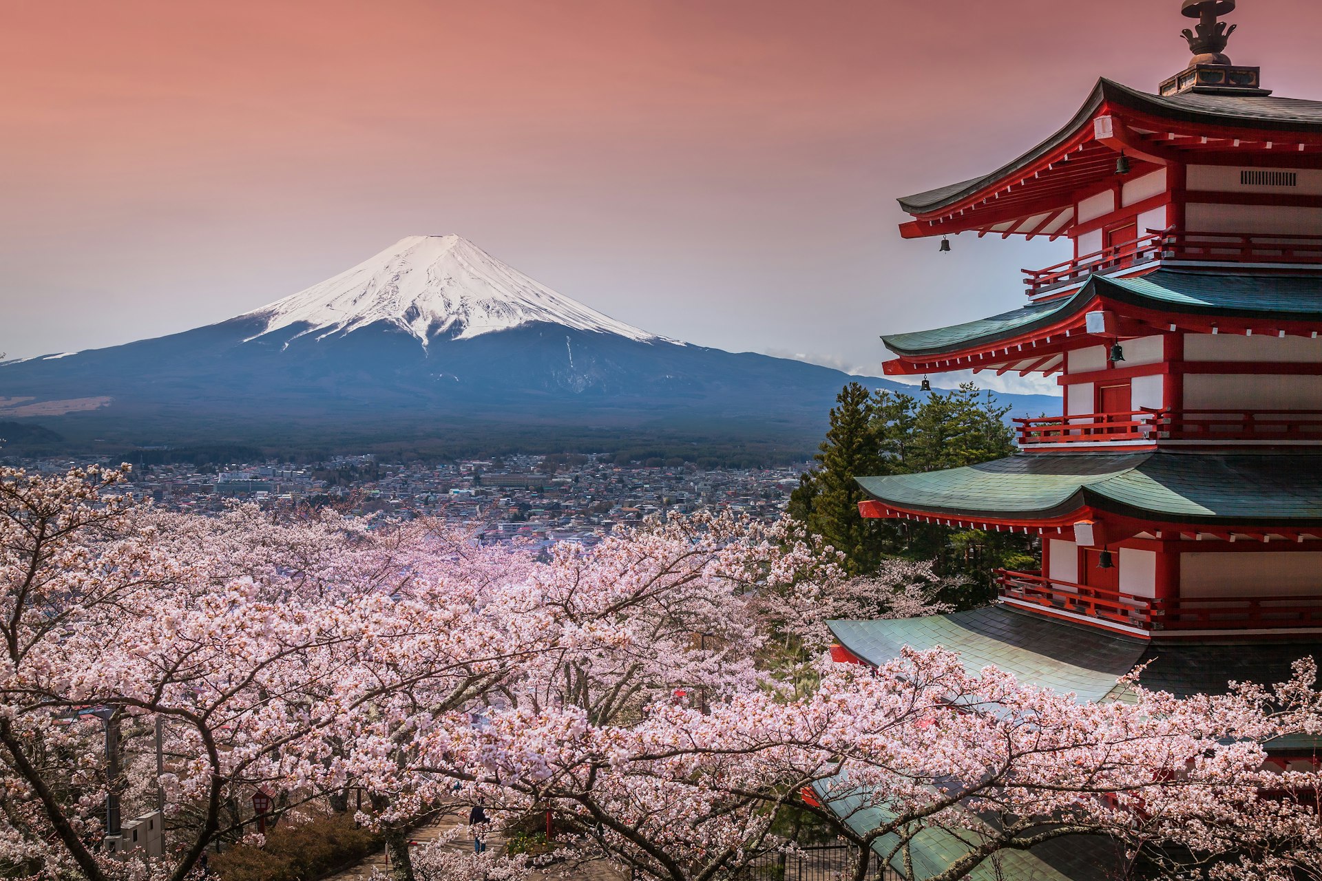 Chureito Pagoda with Sakura and Mt. Fuji in the background