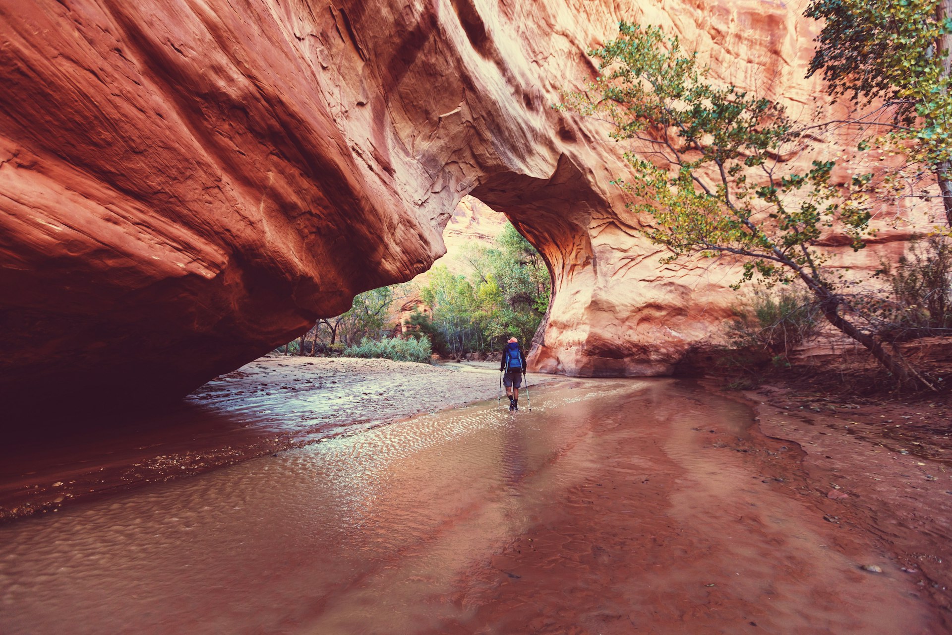 A hiker in a deep canyon with water running through it