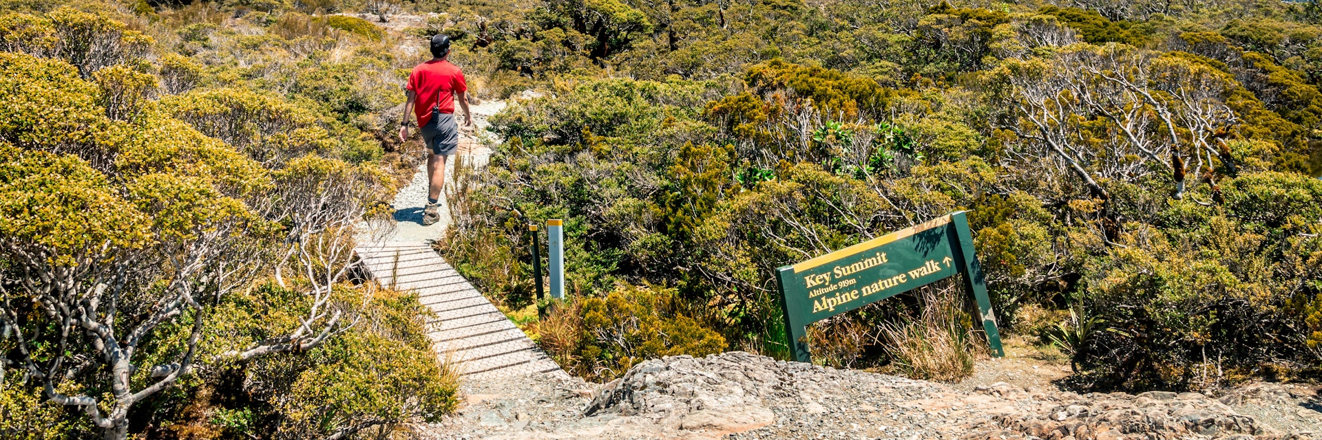 A male hiker walks the trail to Key Summit on a sunny day.