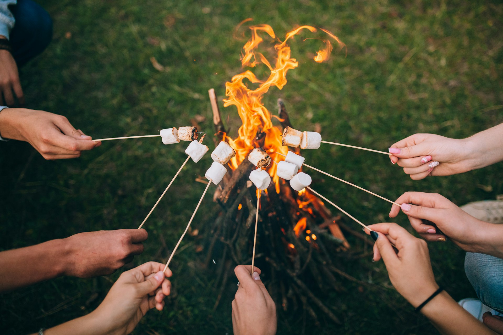 Hands holding marshmallow on skewers 