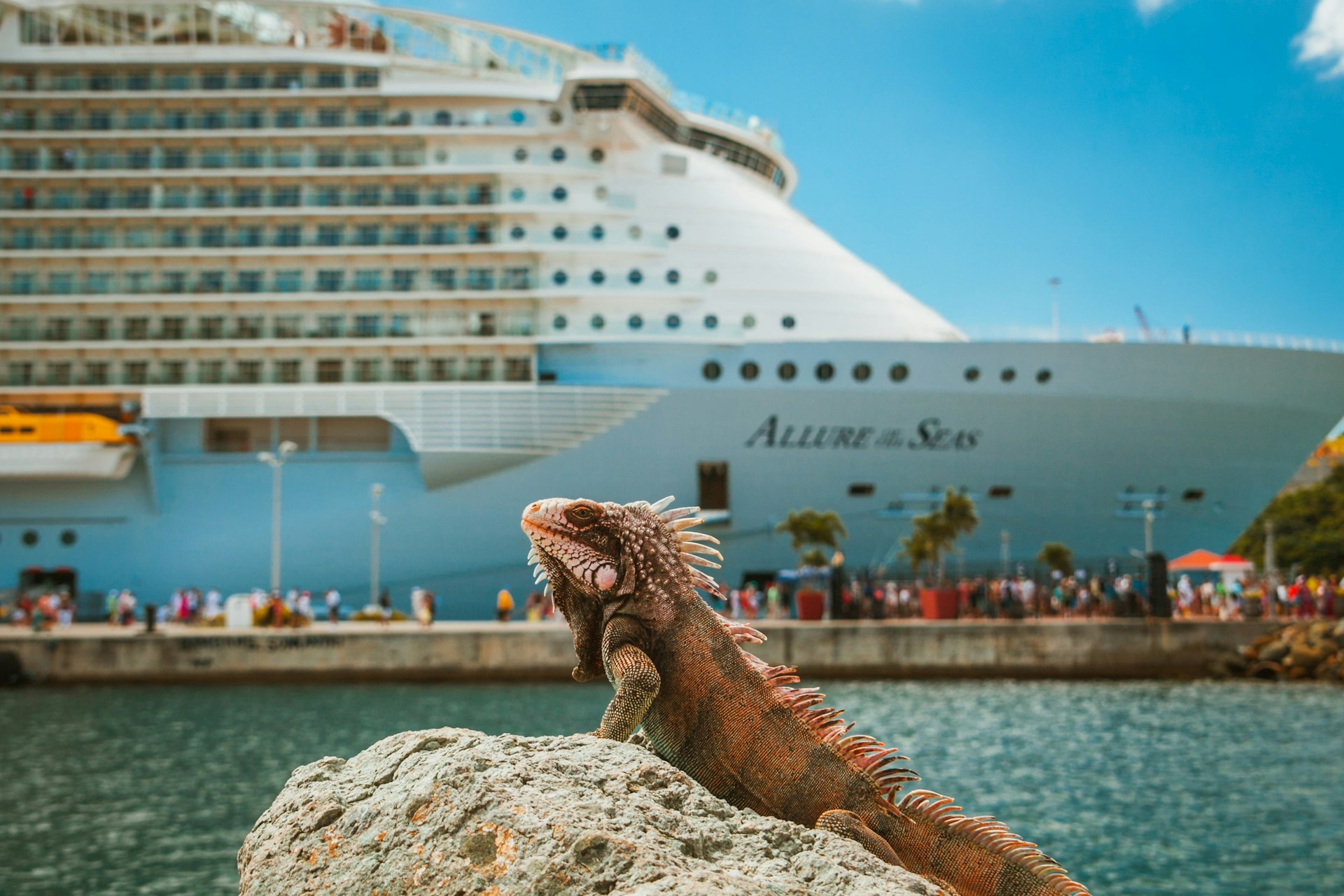 Royal Caribbean cruise ship Allure of the Seas docked at port with a sea iguana in the foreground 