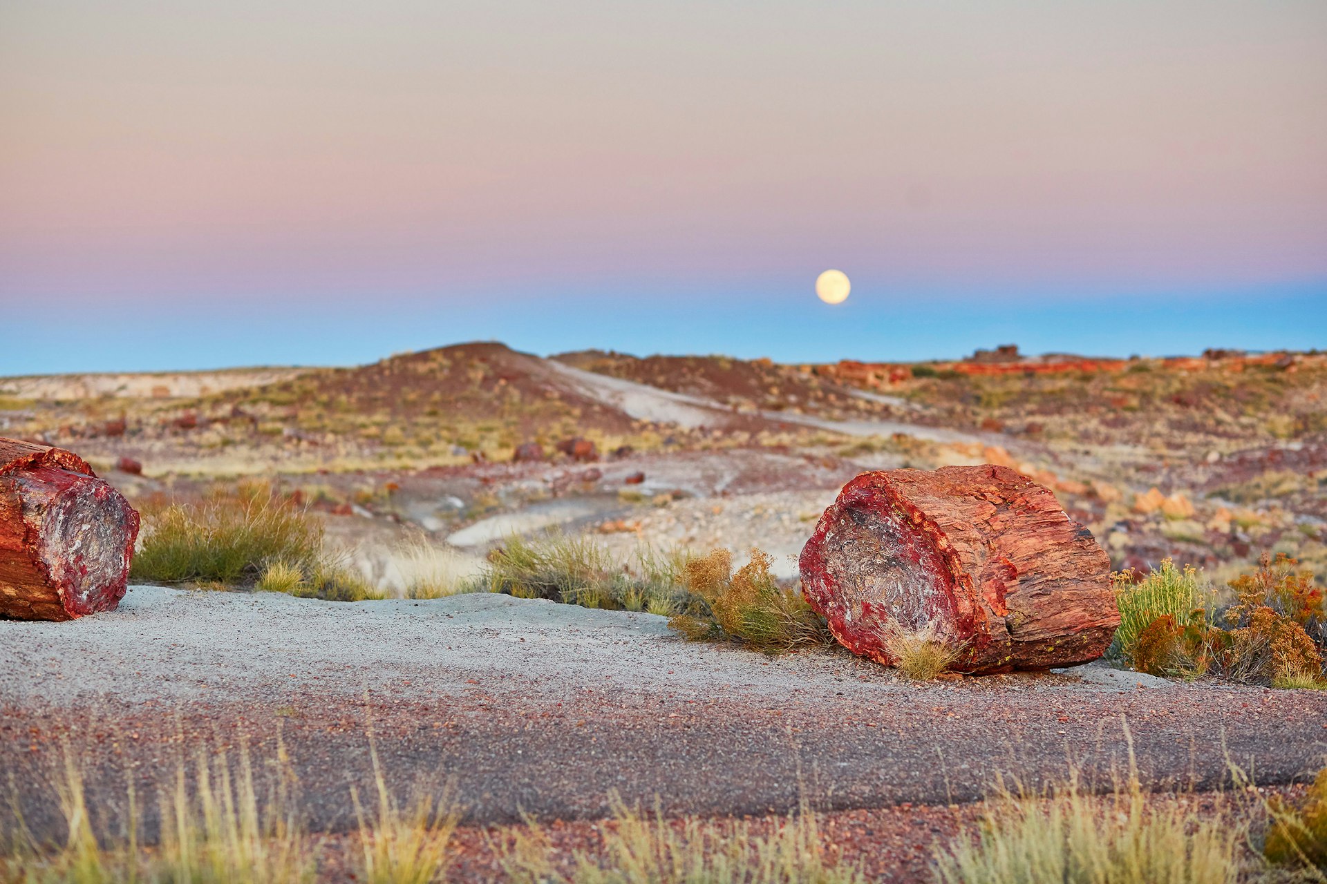 Two petrified logs on tarmac at the edge of badlands. The moon is rising in the background