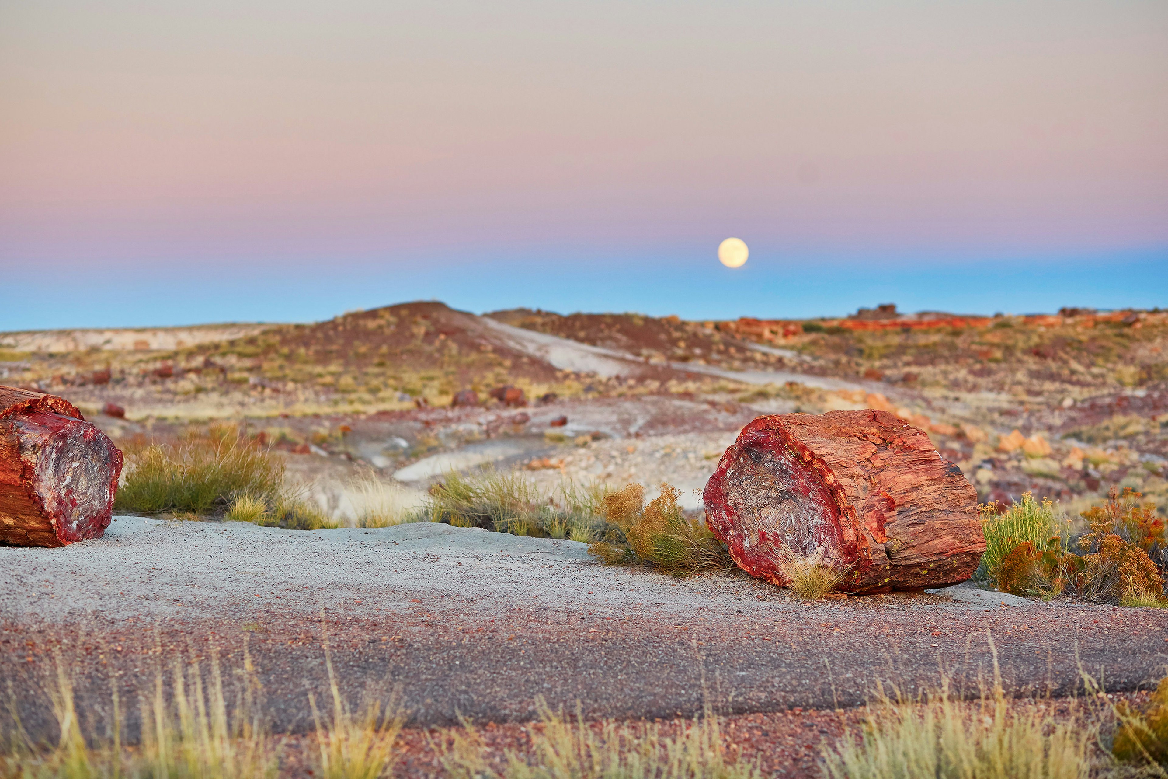 Two petrified logs on tarmac at the edge of badlands. The moon is rising in the background