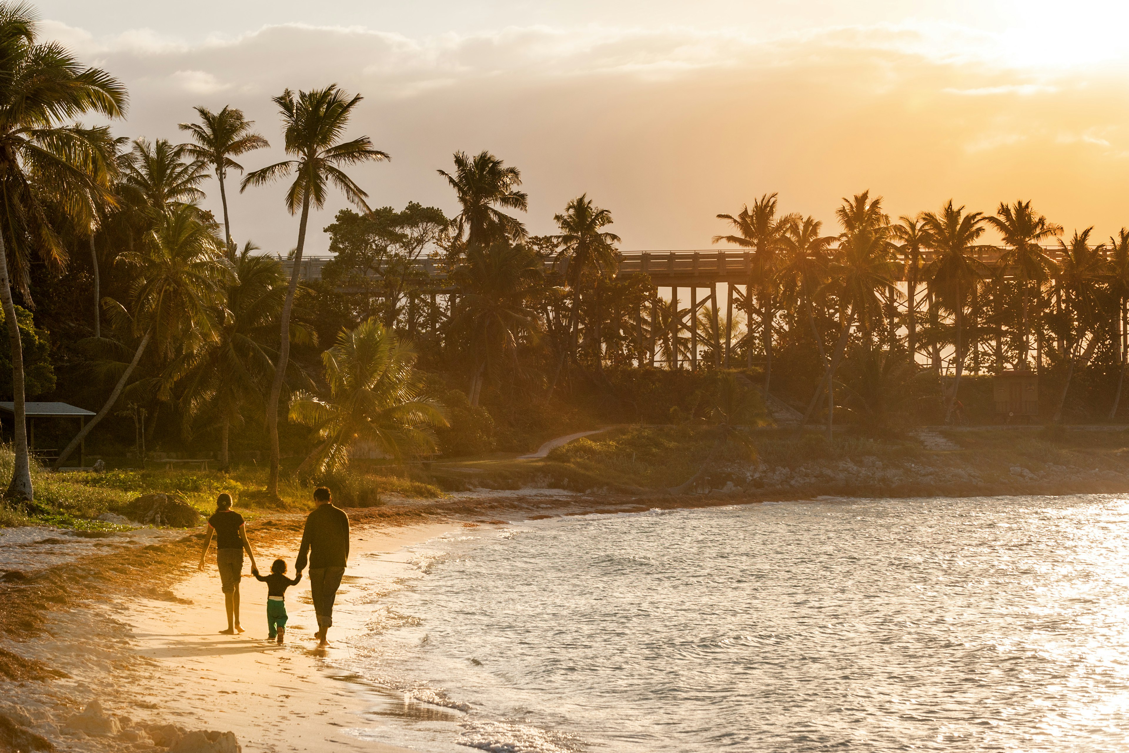 A family strolls along a palm-lined sandy beach as the sun sets