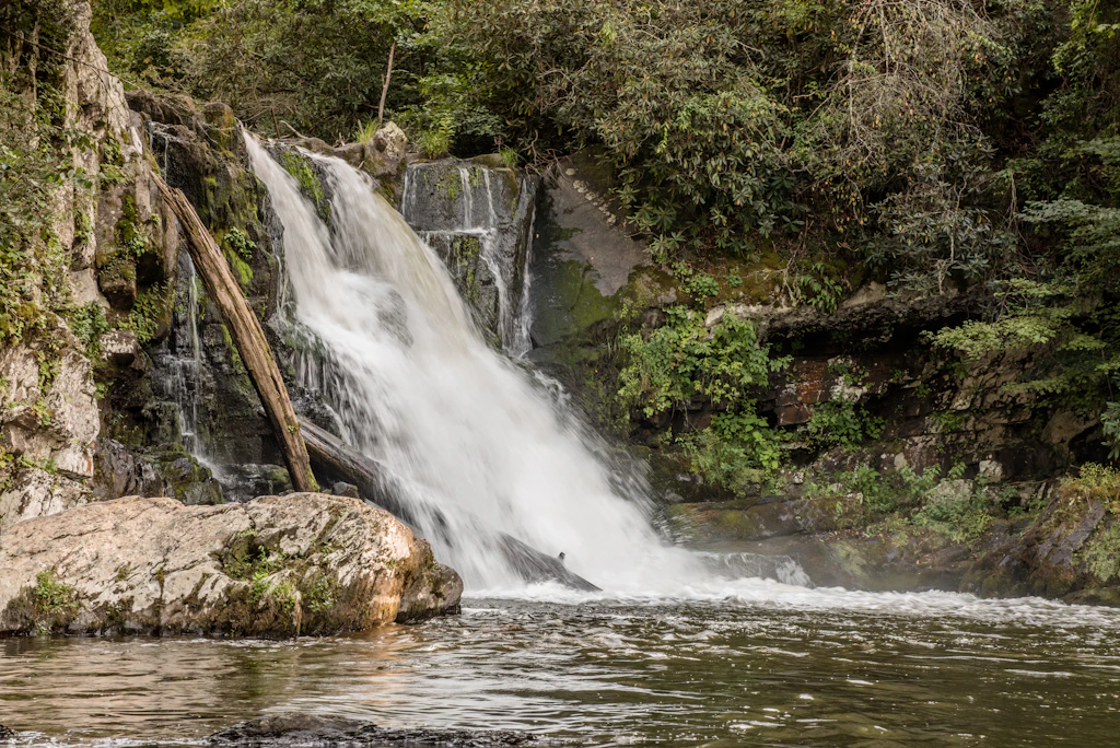 Abrams Falls in the Great Smoky Mountains, US