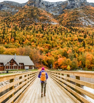 Female hiker with a backpack walking across a wooden bridge in Hautes-Gorges-de-la-Riviere-Malbaie National Park. 