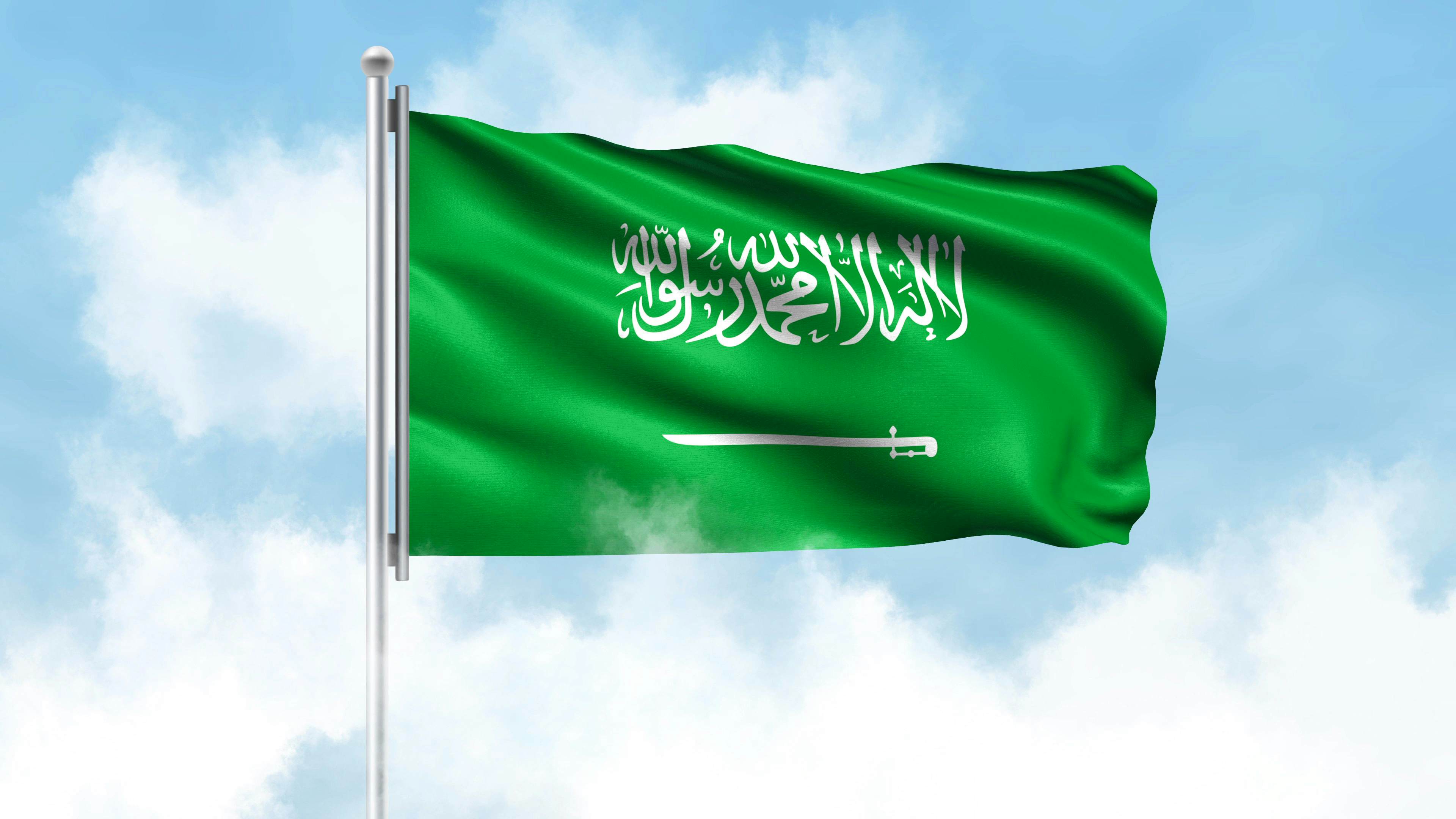 Introducing the flag of Saudi Arabia - Lonely Planet