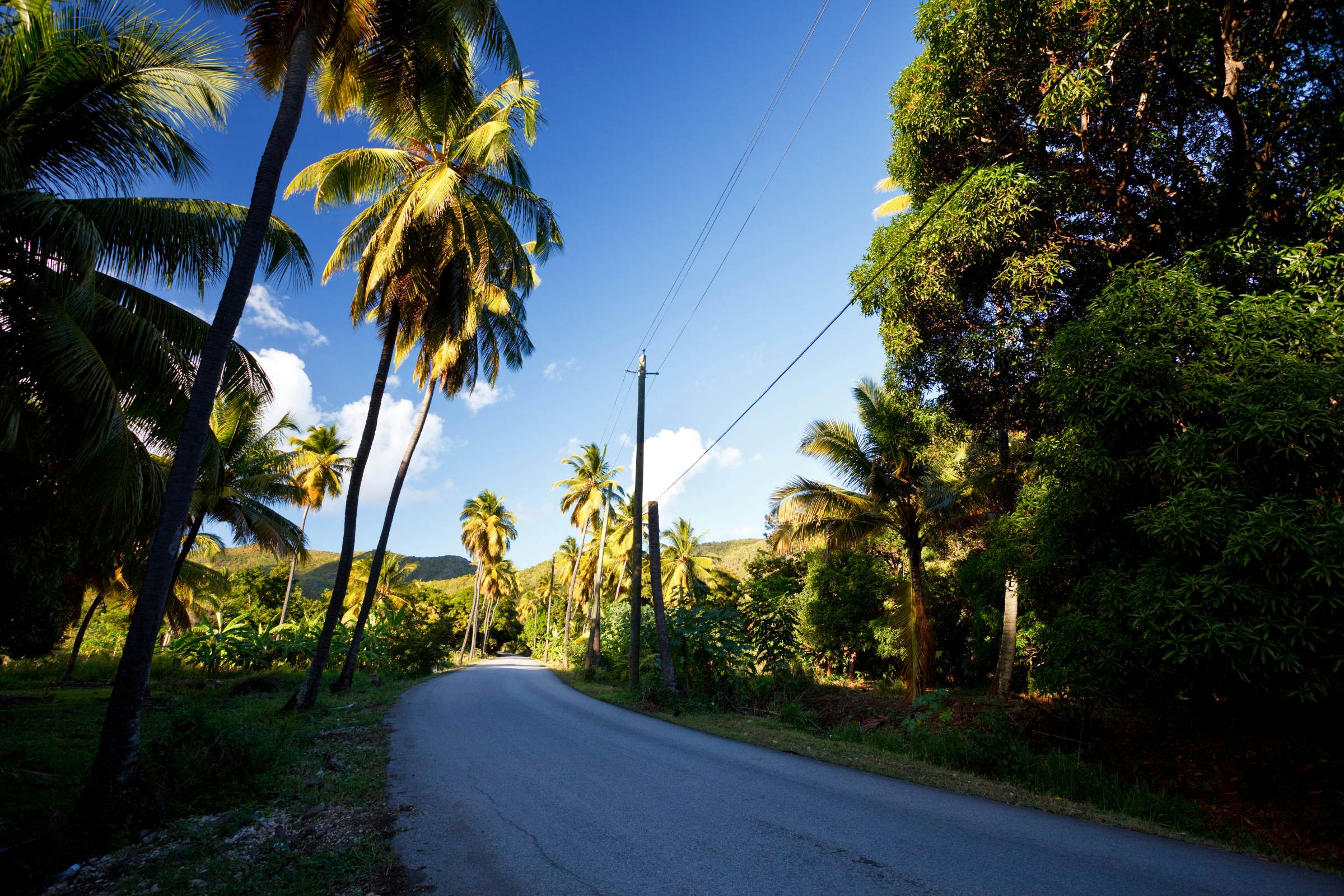 Fig Tree Drive travel Antigua & Barbuda, Caribbean Lonely