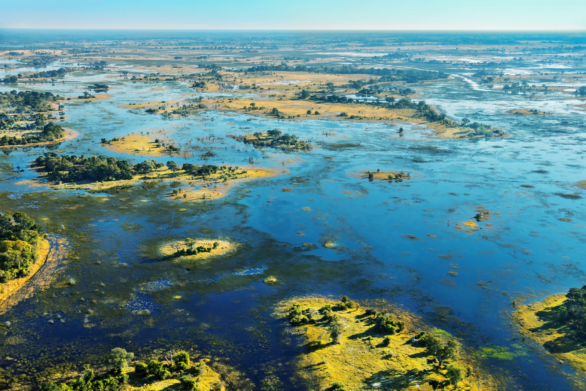 The floodwaters of the Okavango River in Botswana