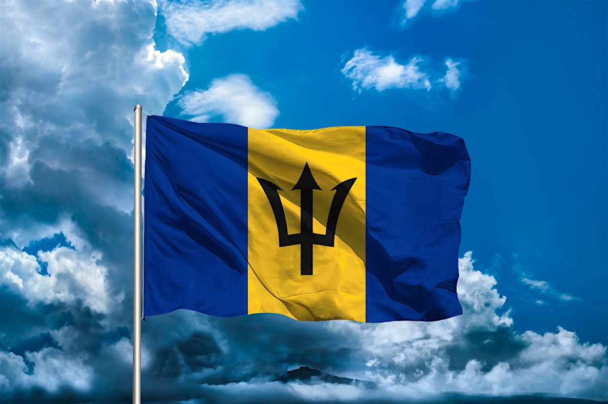 Introducing the flag of Barbados - Lonely Planet