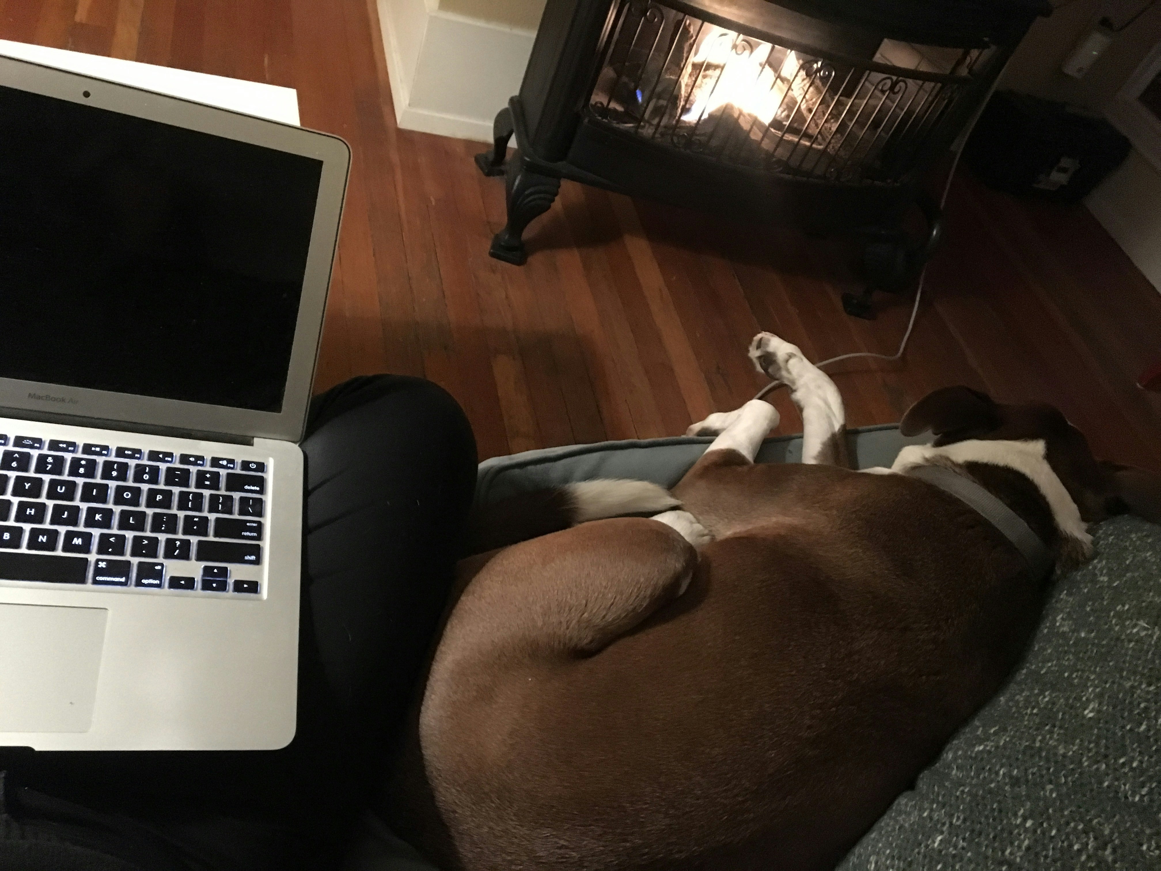 Jackson the dog naps on the sofa next to Britany Robinson, who has a silver laptop sitting on her legs next to a fireplace