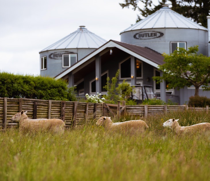 These farm stays merge classic agricultural experiences with luxury