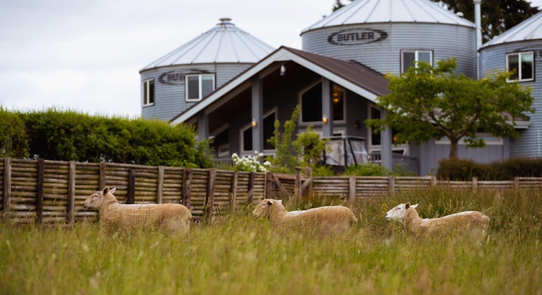 These farm stays merge classic agricultural experiences with luxury