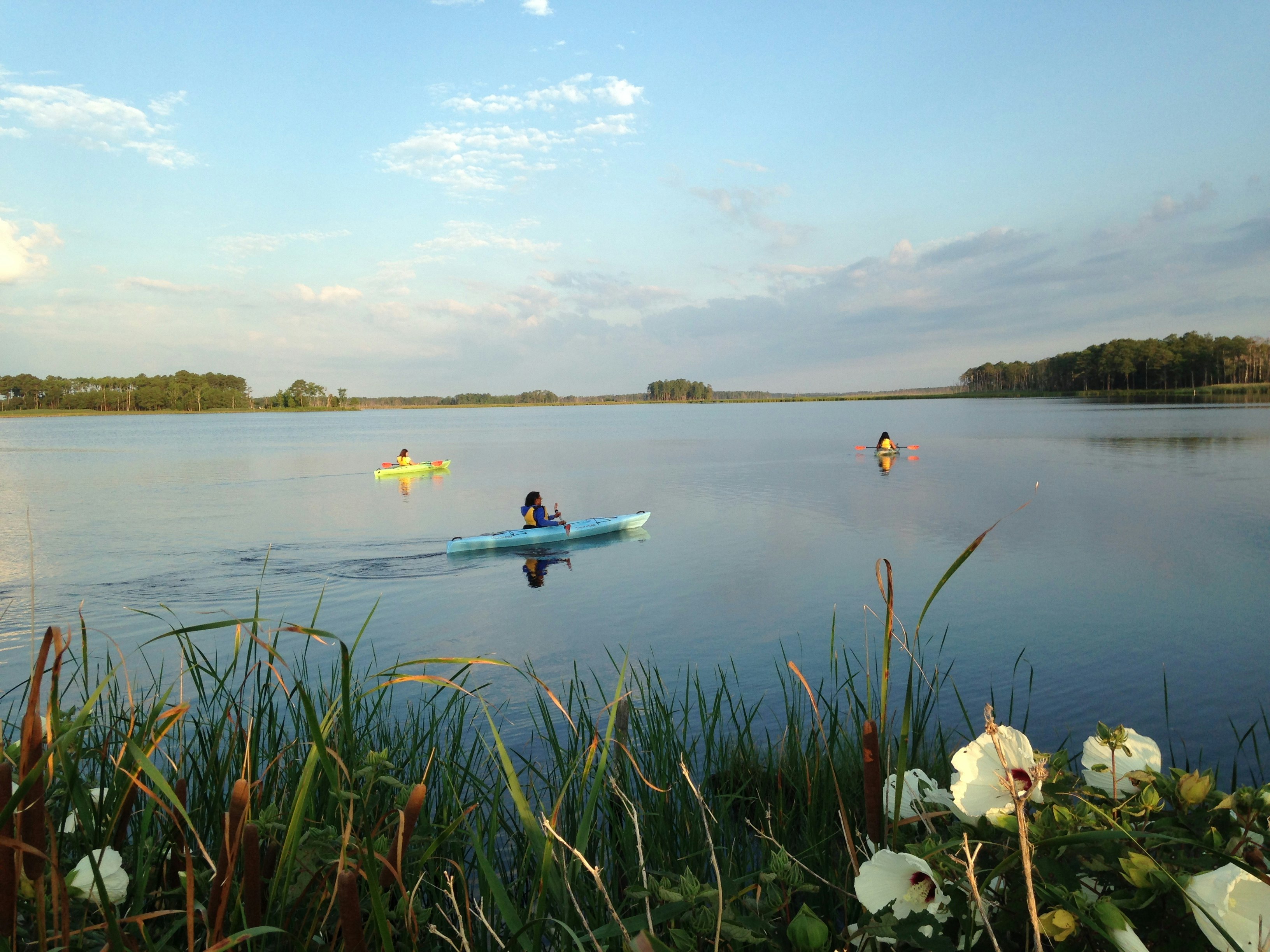 Blackwater Wildlife Refuge_Tubman Byway_Credit Maryland Office of Tourism.jpeg