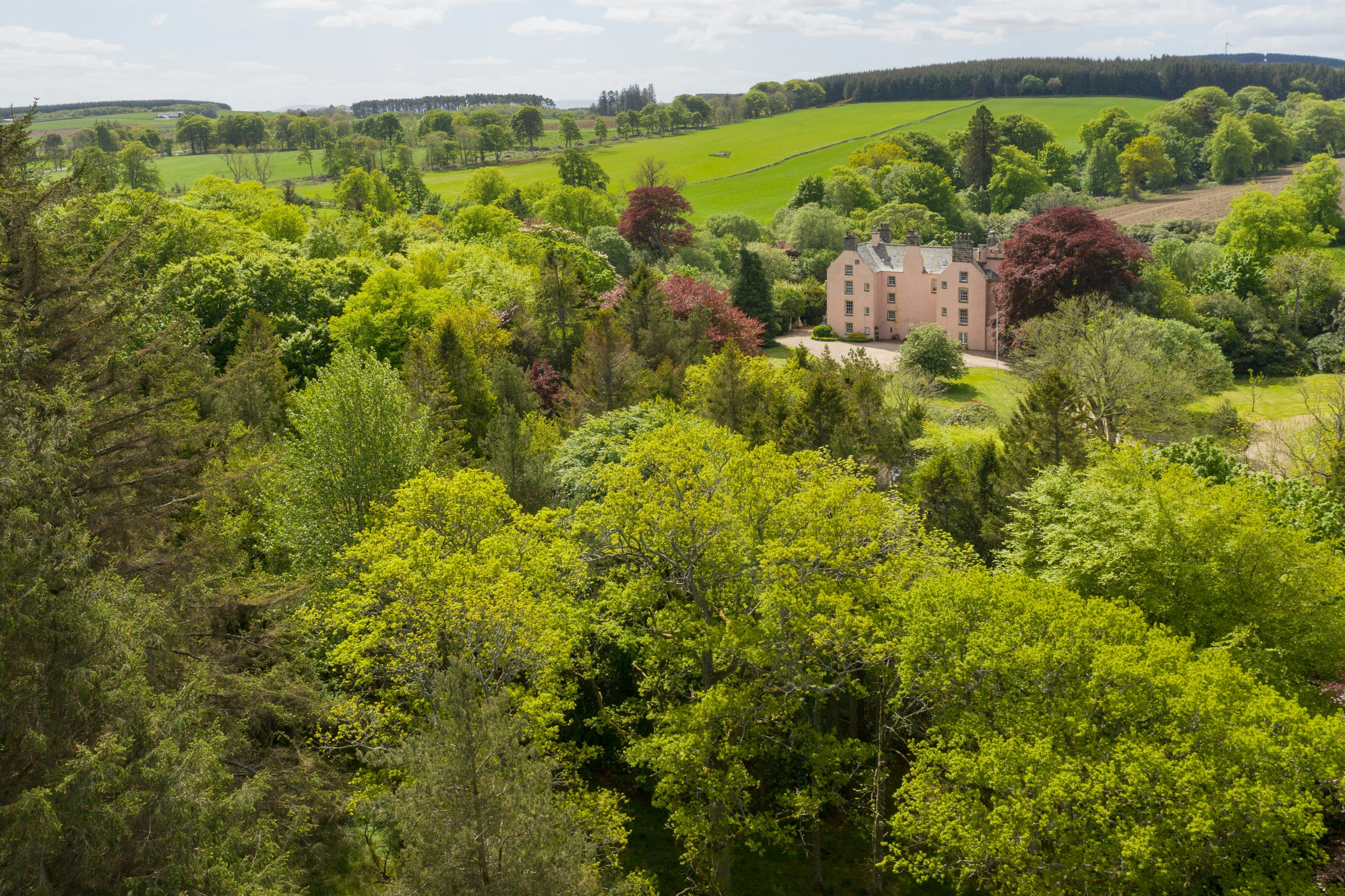 The woodland surrounding Castle of Park in Scotland