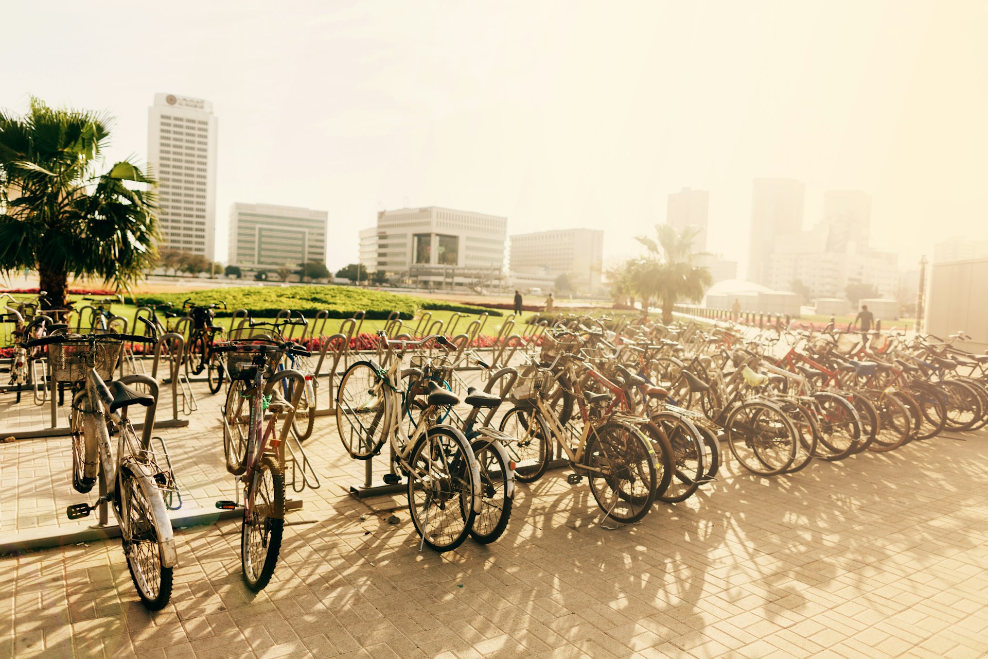 Bicycles parked on the street in Dubai, United Arab Emirates