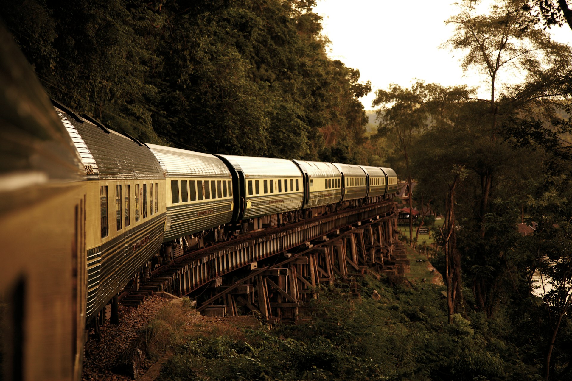 Train carriages moving over a raised section of track lined with thick vegetation