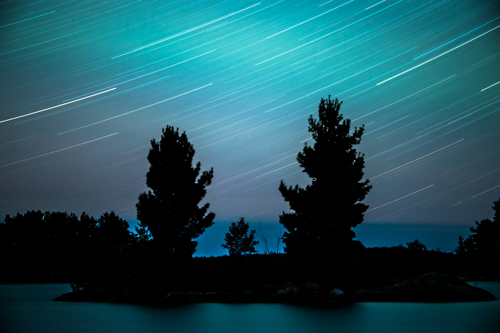 Star trails on a 20 minute exposure, with two trees in the foreground and purplish blue and green sky