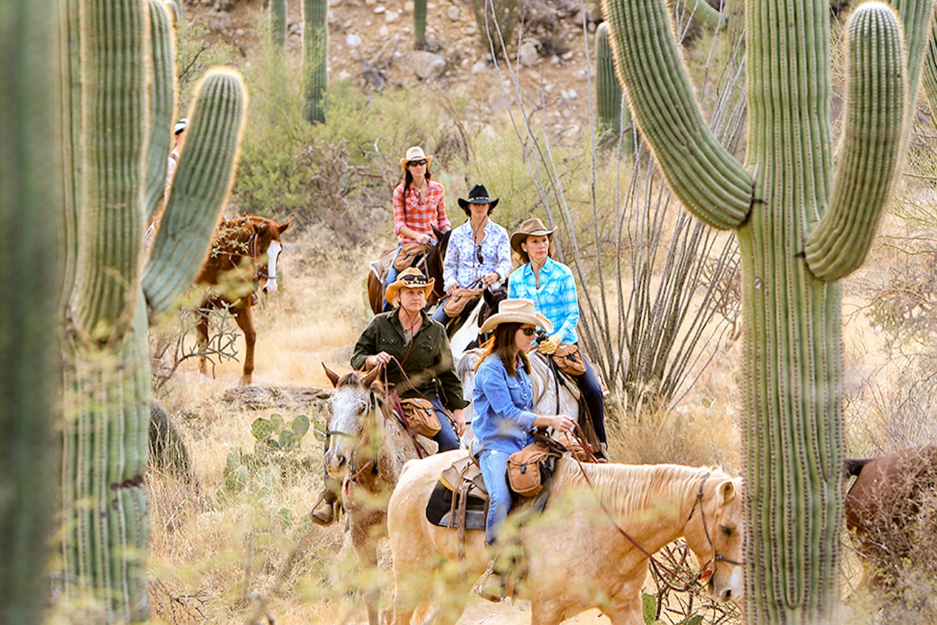 A group of people on horseback, framed by cacti, on an evening trail ride at Tanque Verde Ranch