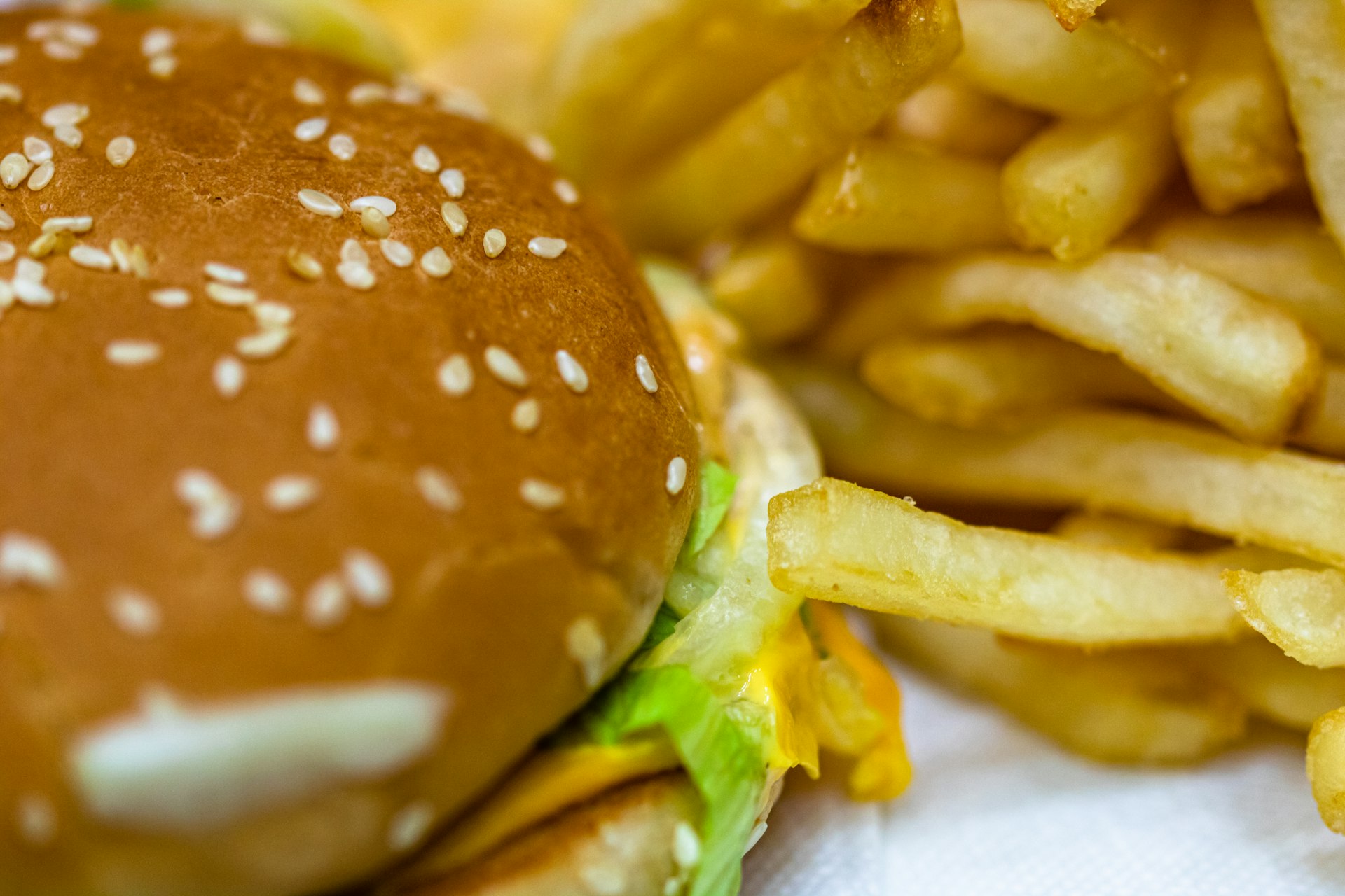 Close up detail of cheeseburger and french fries. Food, junk food and fast food concept