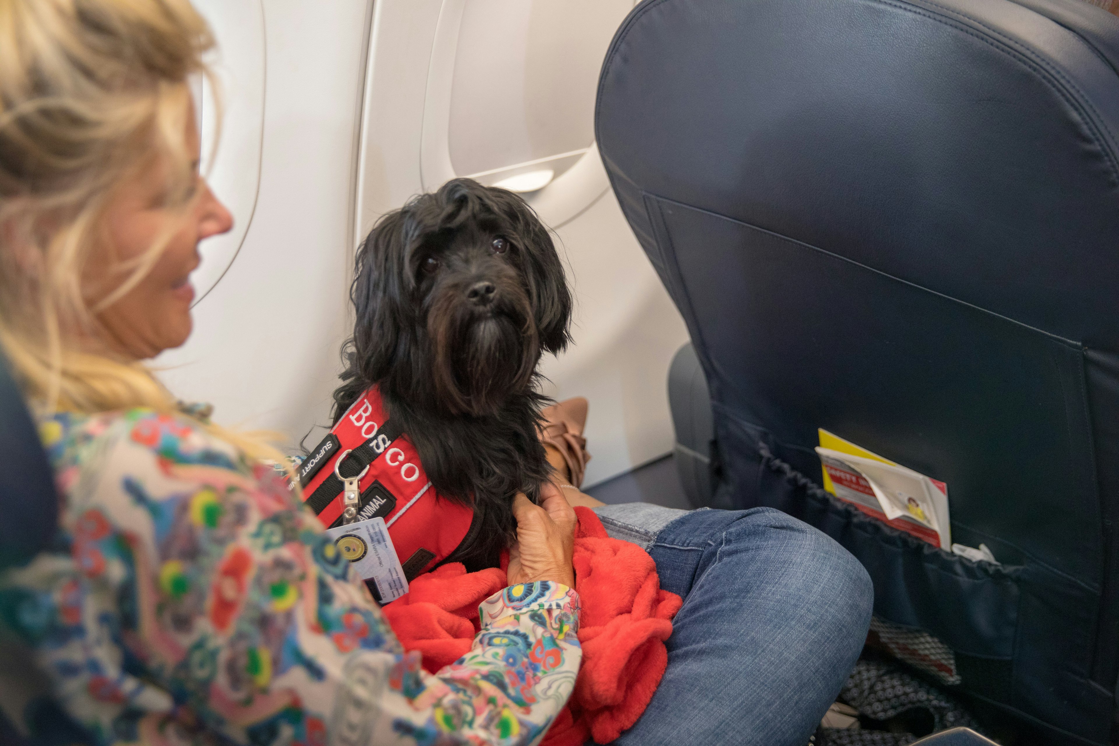 July 12, 2018: A woman holding a support dog on her lap while on an airplane.