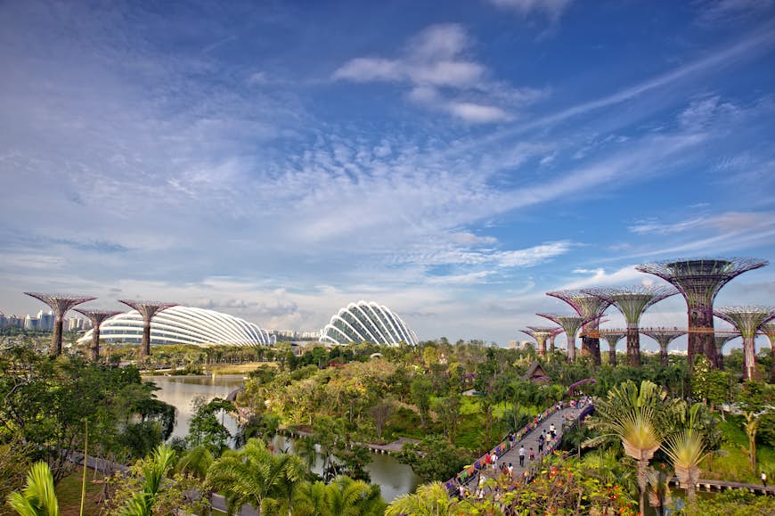 The supertrees of Singapore's Gardens by the Bay