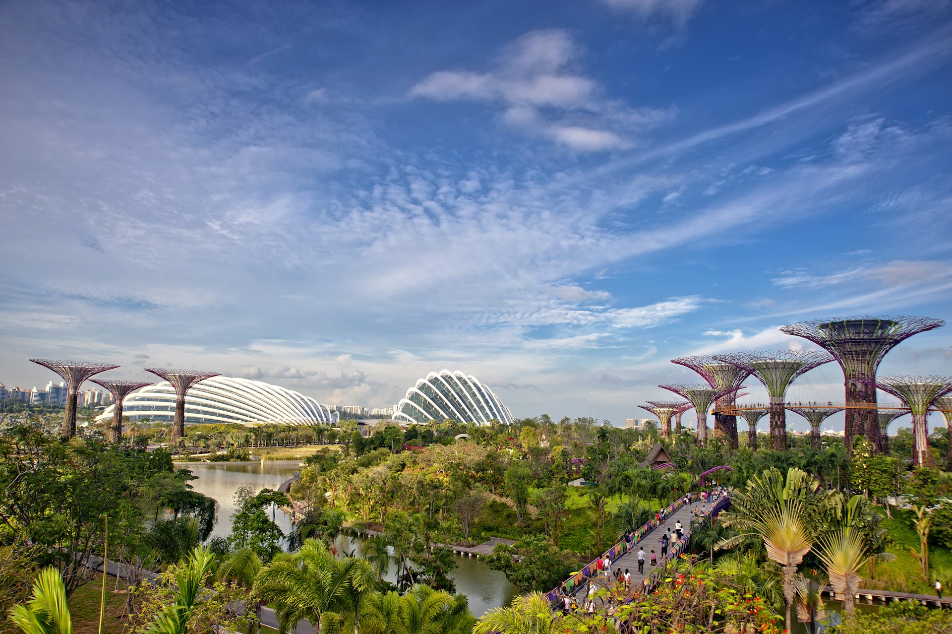The supertrees of Singapore's Gardens by the Bay