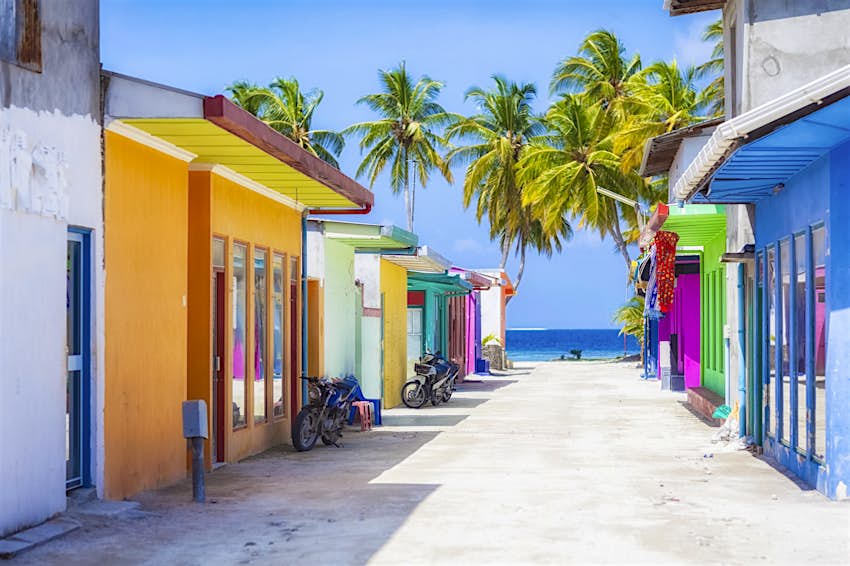 Brightly colored buildings line a tropical street. 