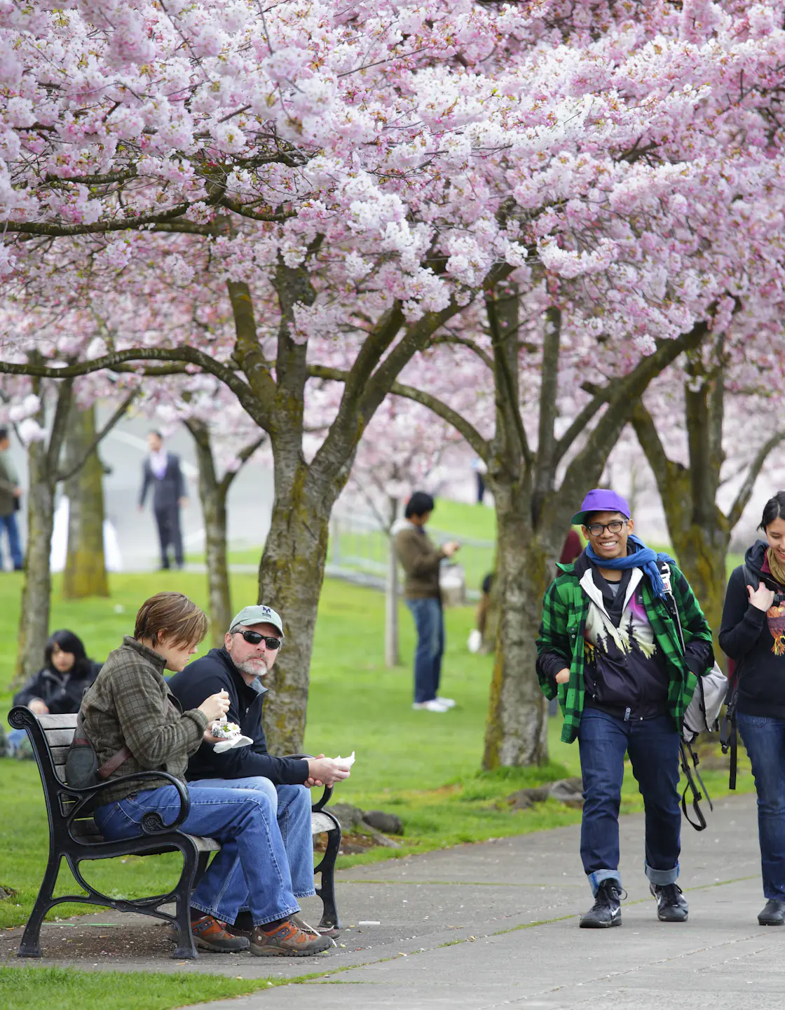 Spring Portland Pdf Spring backpacking trips near Portland, Oregon – Lonely Planet - Lonely ...