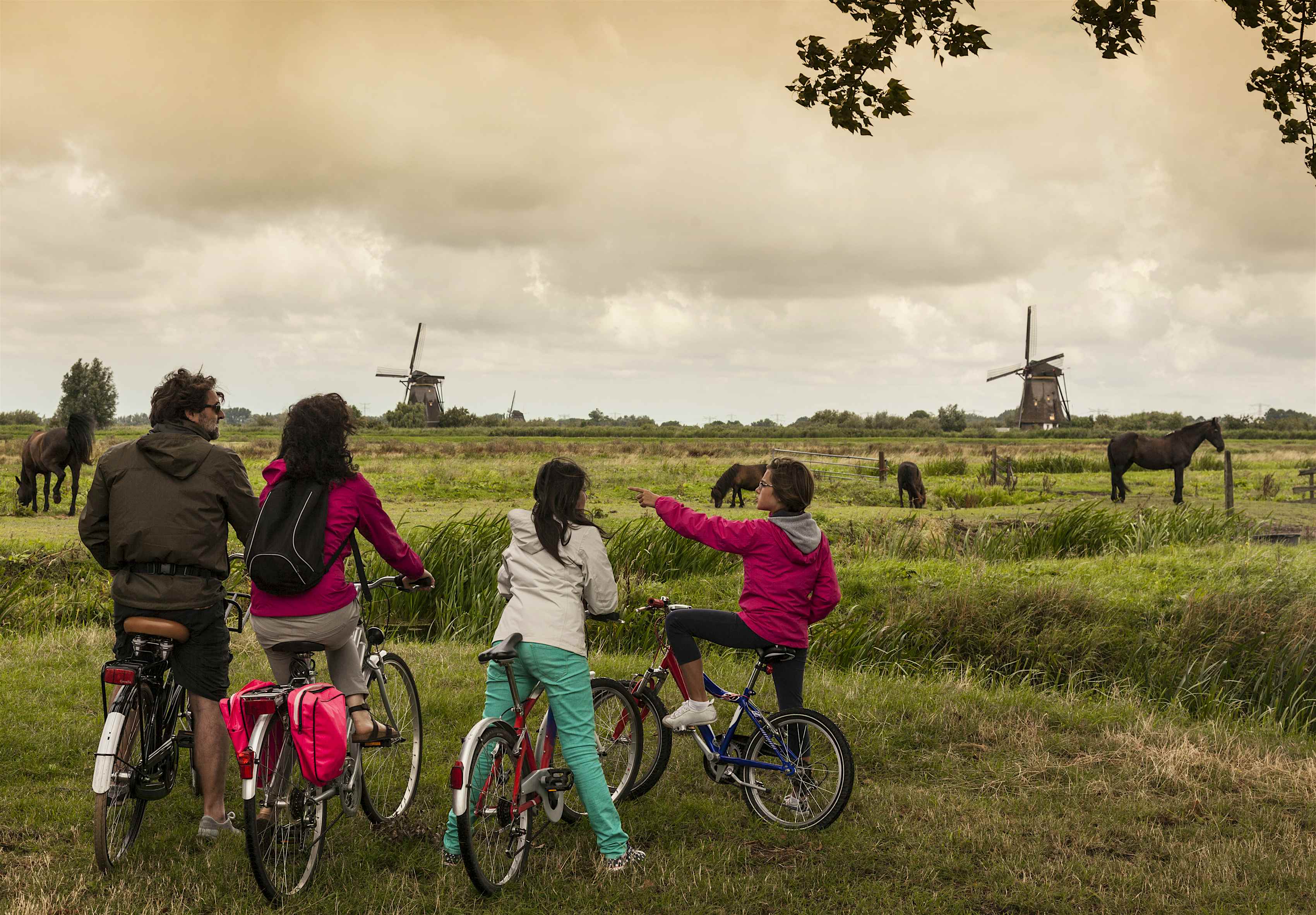 bike tour in netherlands