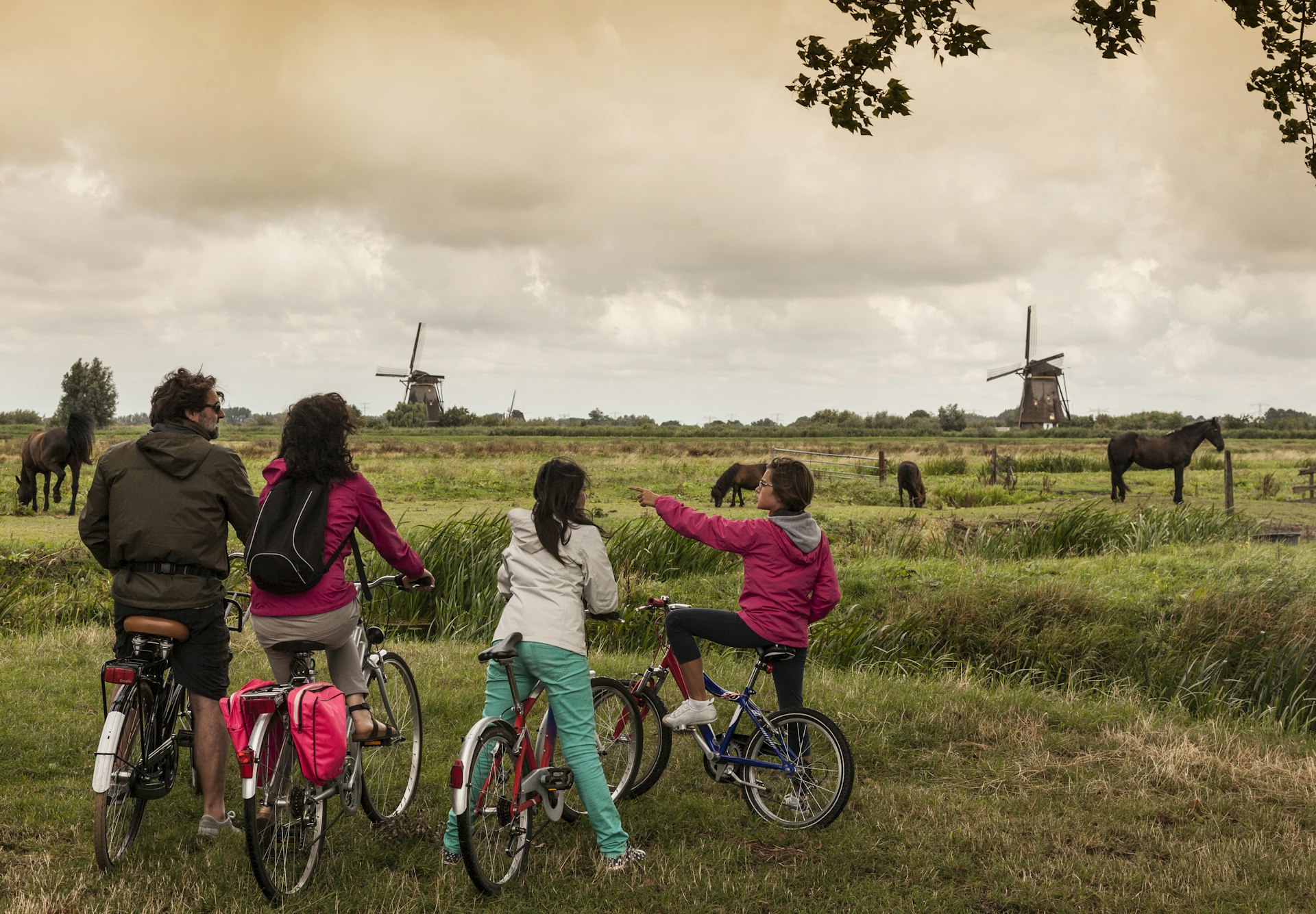 Family with two children on bikes, Kinderdijk, Olanda, Amsterdam