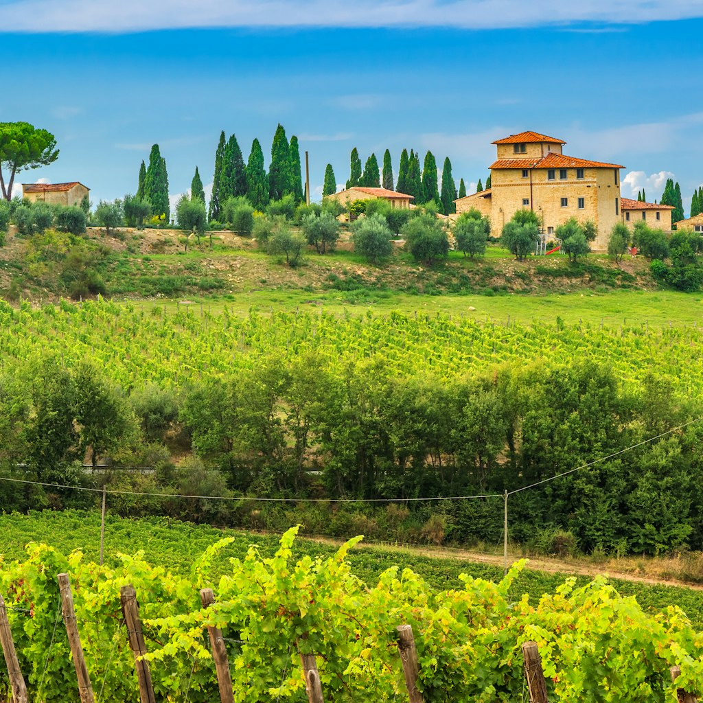 Typical Tuscan stone house with stunning vineyard in the Chianti region,Tuscany, Italy.