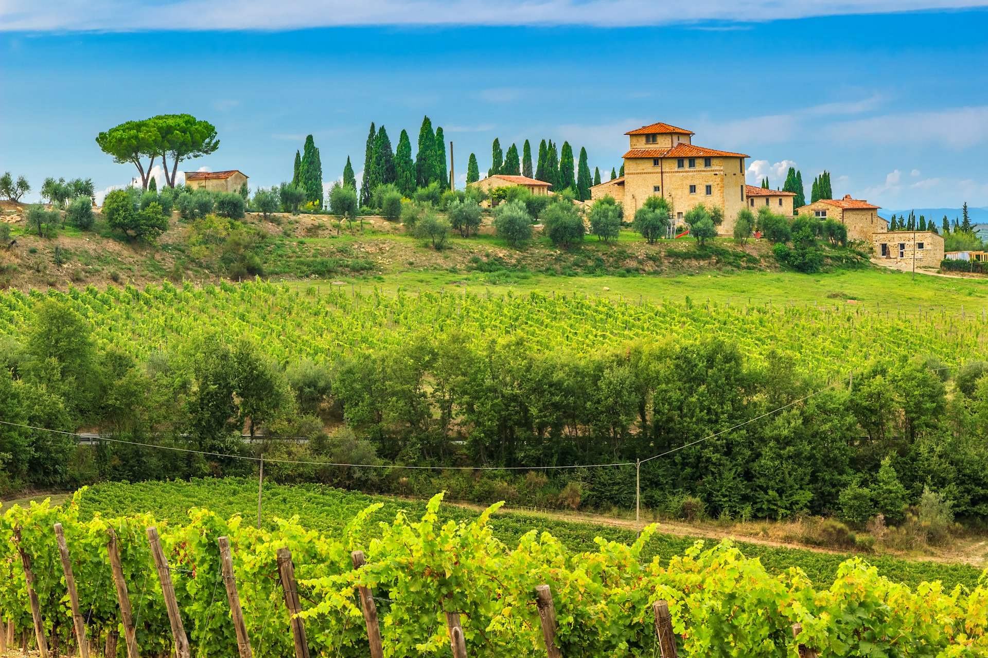Typical Tuscan stone house surrounded by a stunning green vineyard 