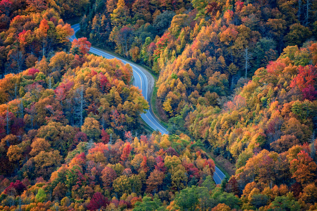 Newfound Gap