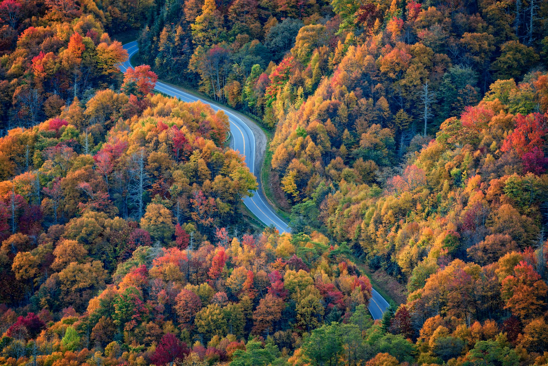 A road cuts through thick woodland, with leaves in warm fall colors of red, orange and gold