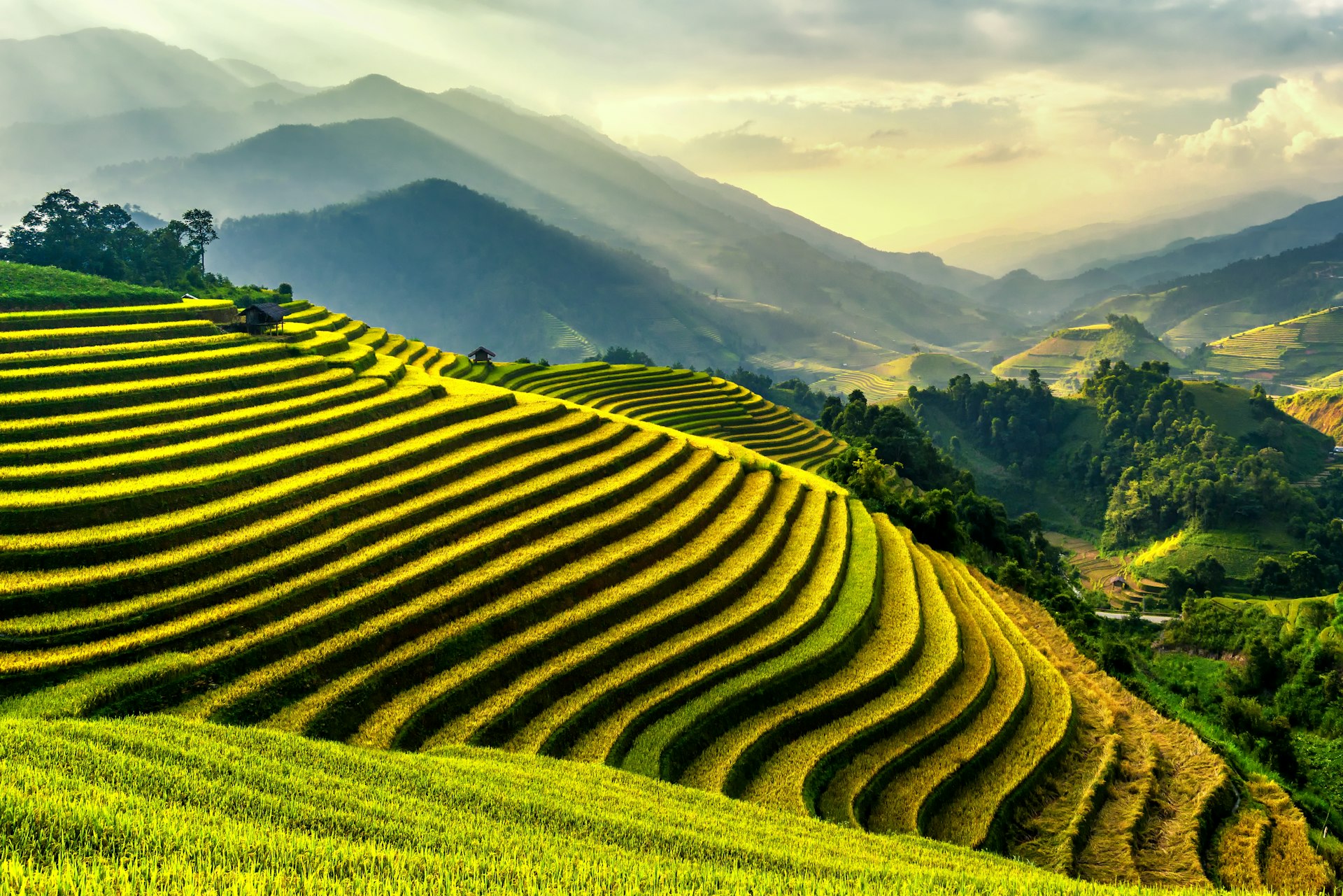 Rice terraces at Mu Cang Chai in Vietnam