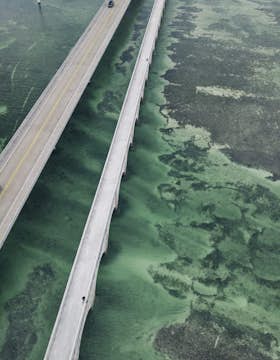 Florida's 7 best natural springs for year-round adventure - Lonely Planet