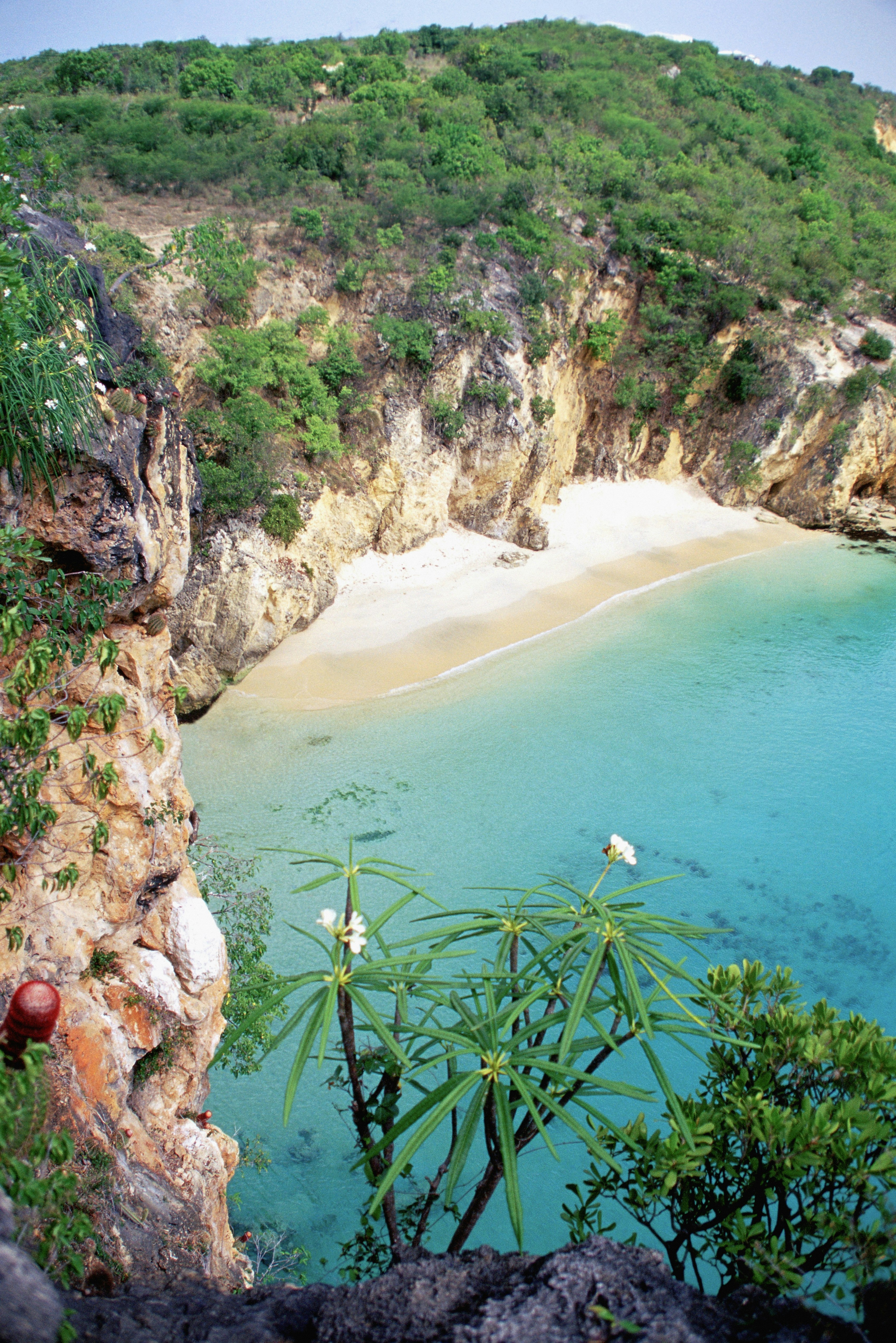 A high-angle view of Cove Bay Beach