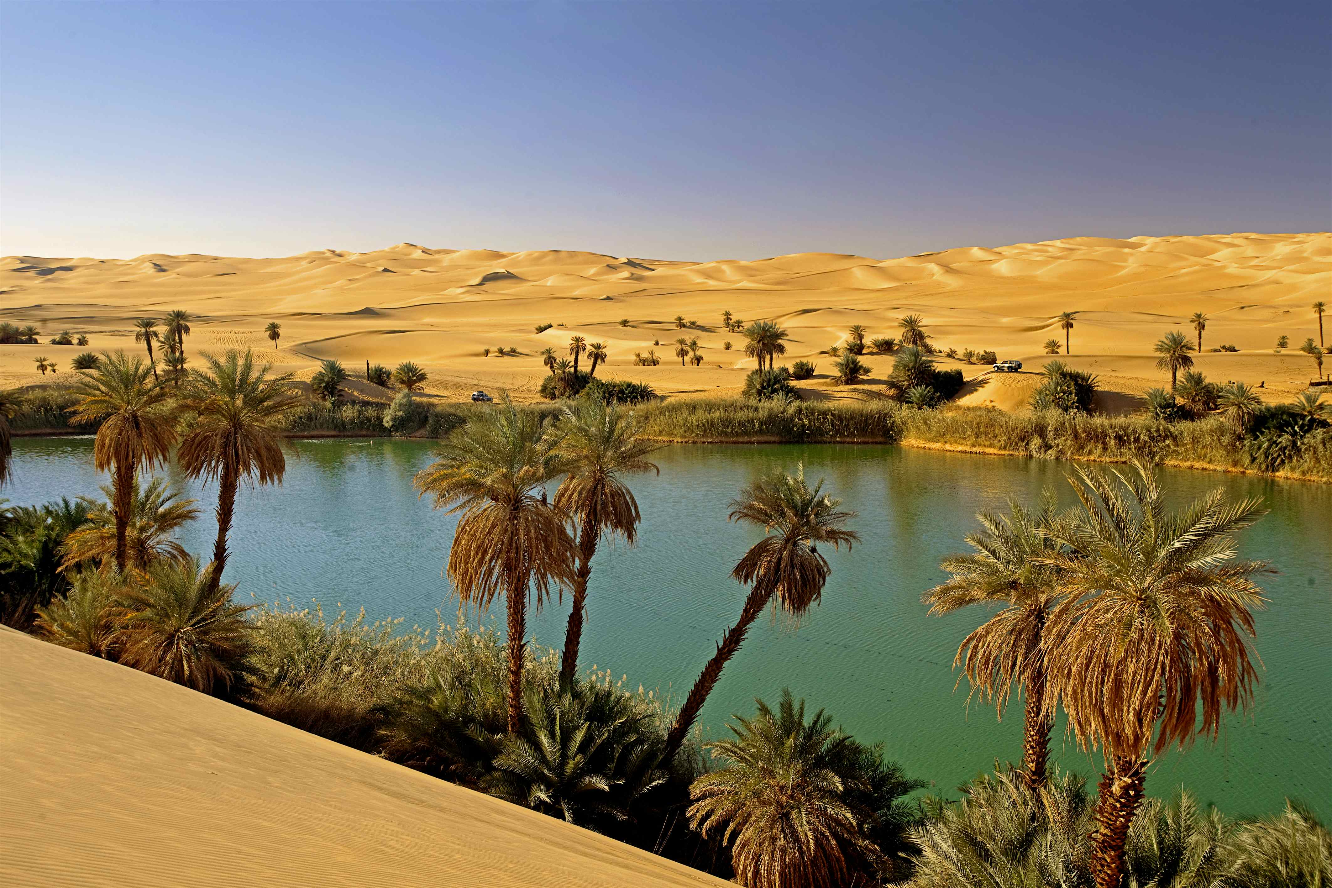 Какая природа египта. Пустыня сахара Оазис. Тунис Оазис в пустыне. Оазис Убари в Египте. Оазис Убари Ливия.