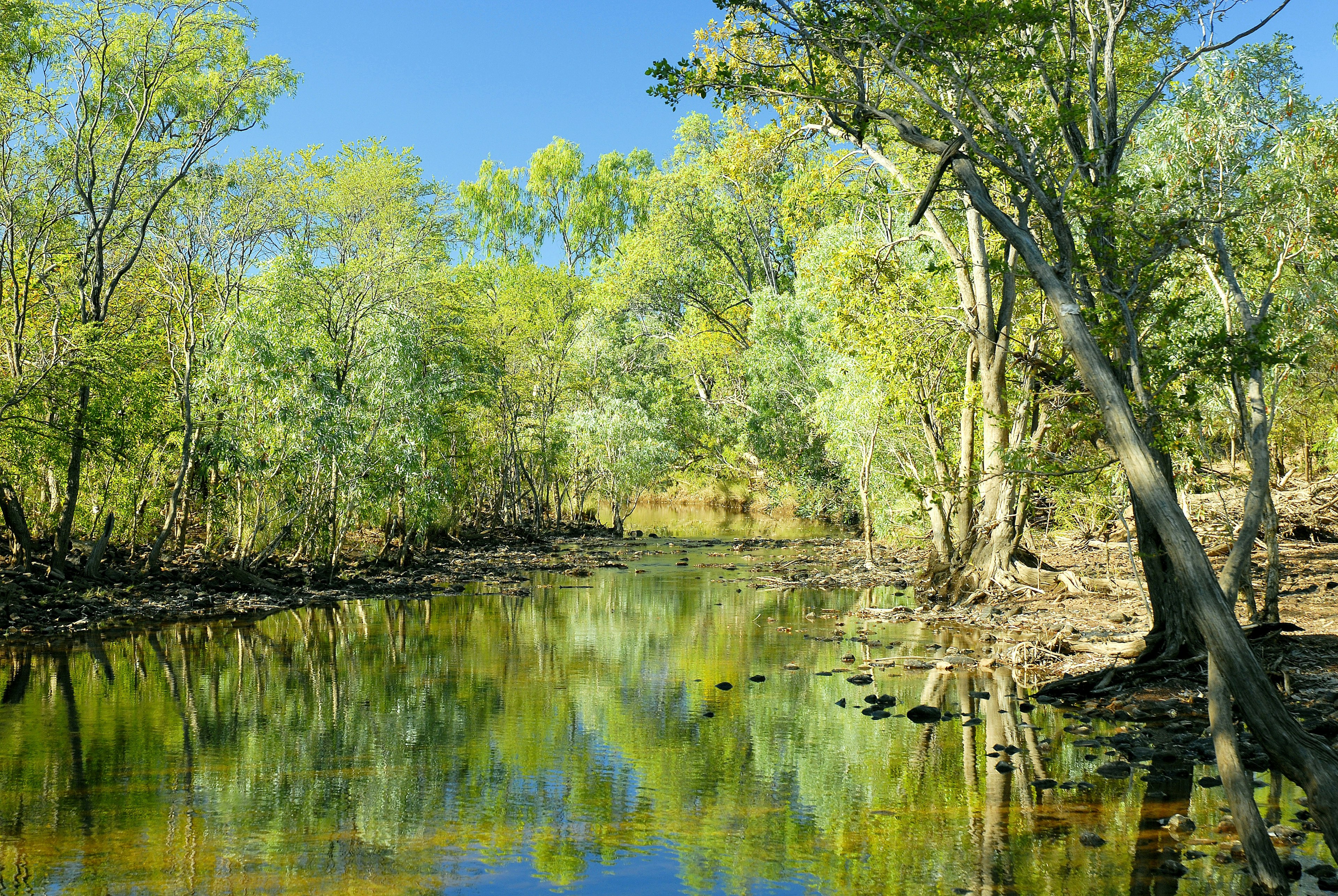 Limmen Bight River