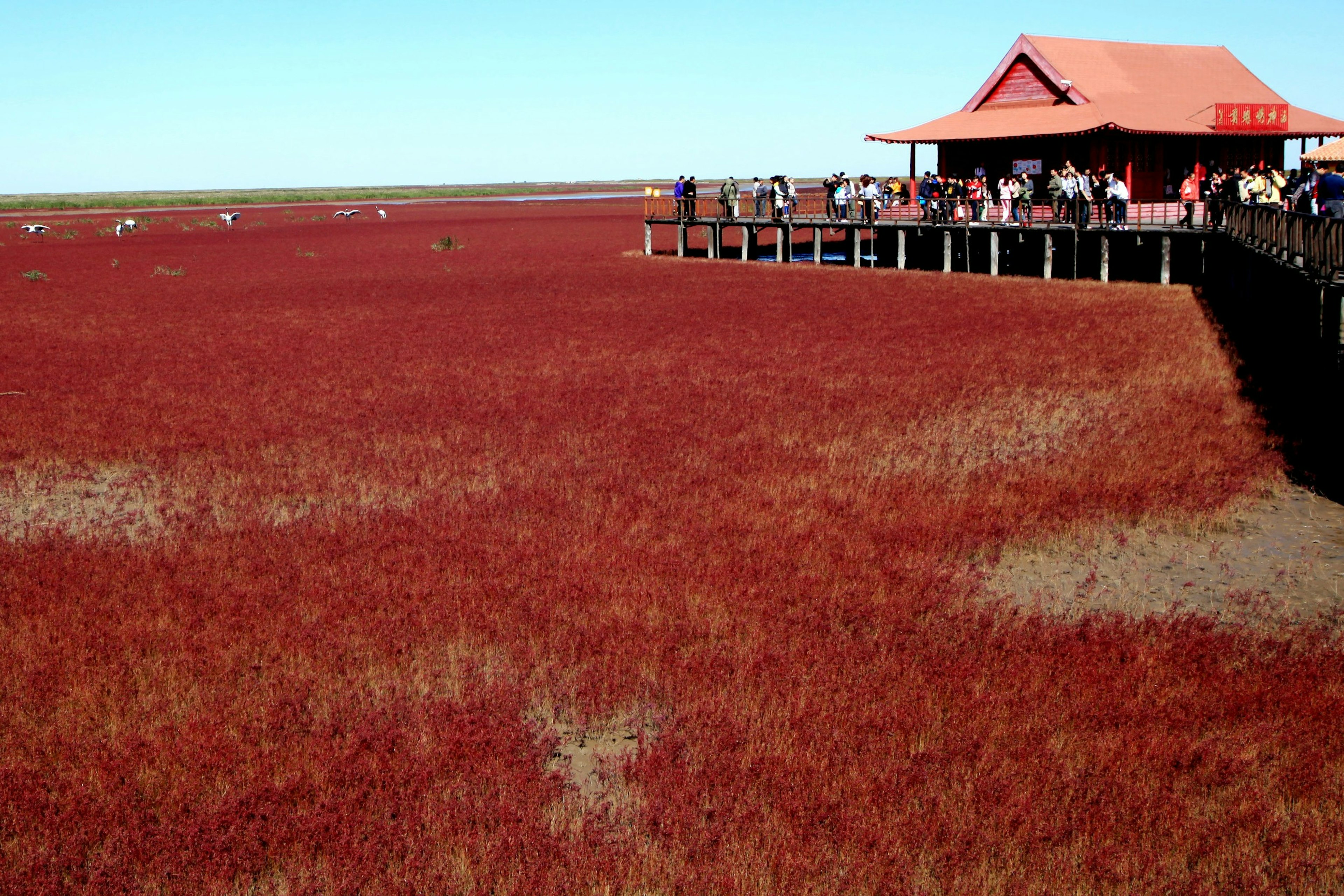 Red Beach 1.jpg