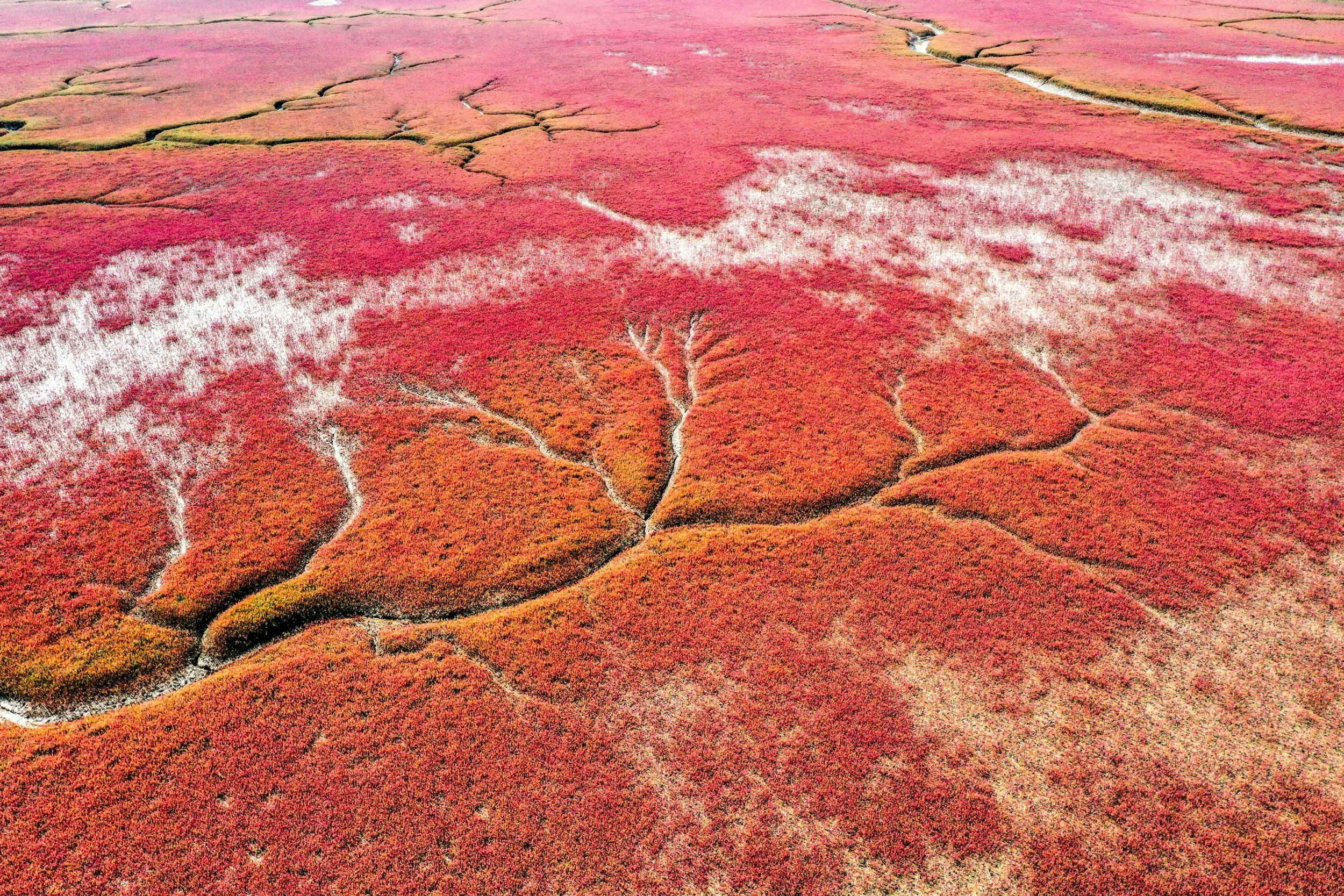 Red Beach 3.jpg