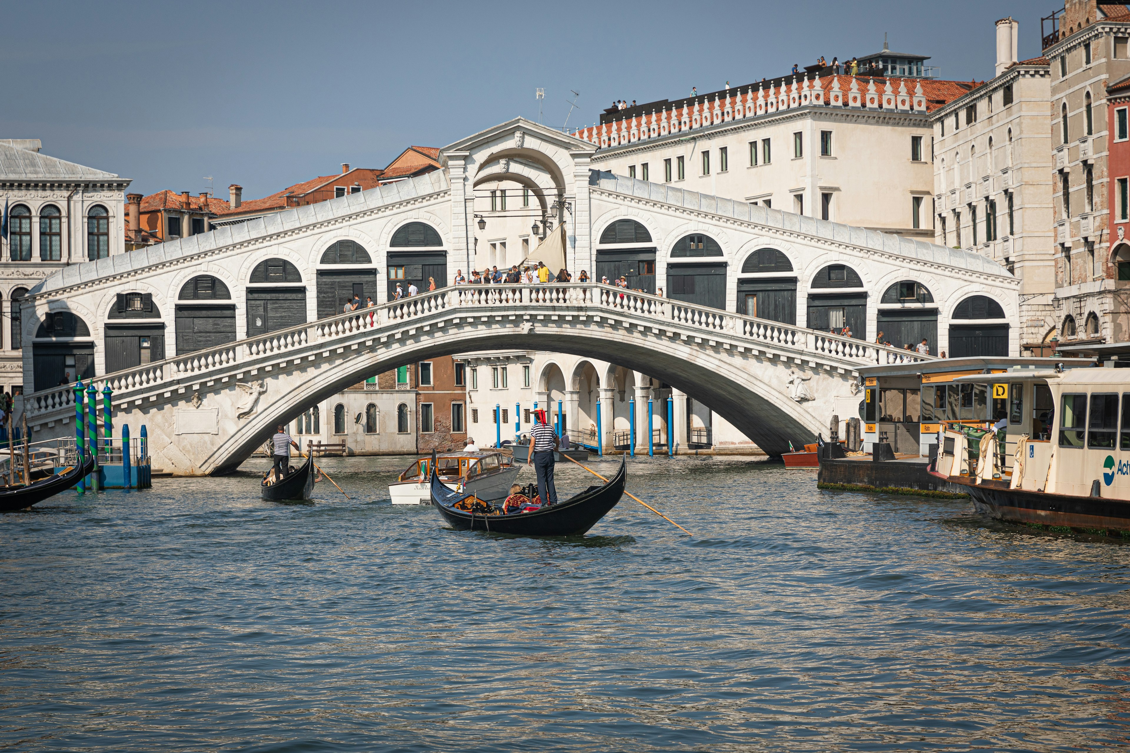 Rialto Bridge.jpg