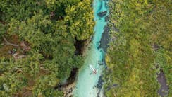 Florida's 7 best natural springs for year-round adventure - Lonely Planet