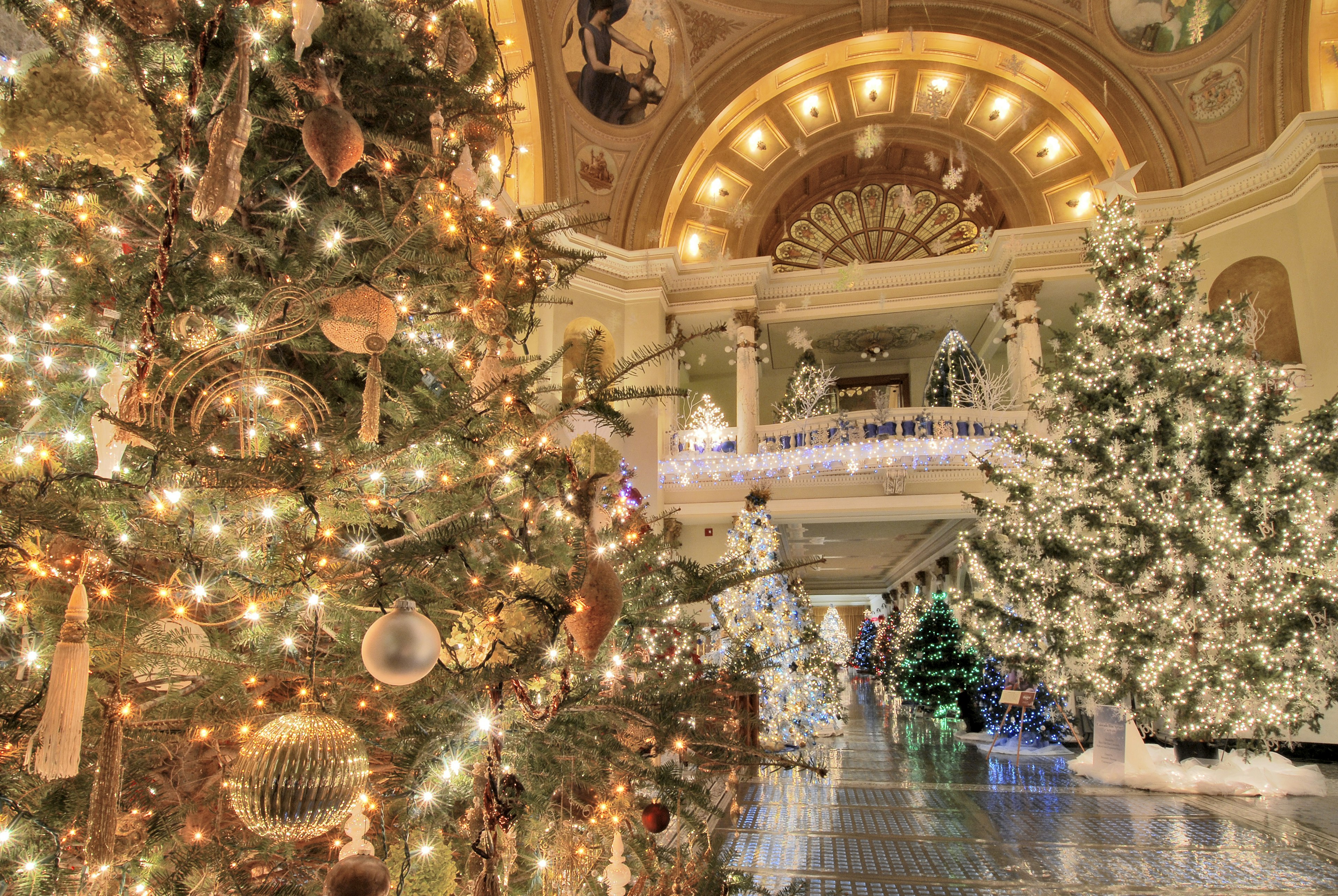 A series of Christmas tress wrapped in bright white sparkling lights stand in the halls of the South Dakota Capital building