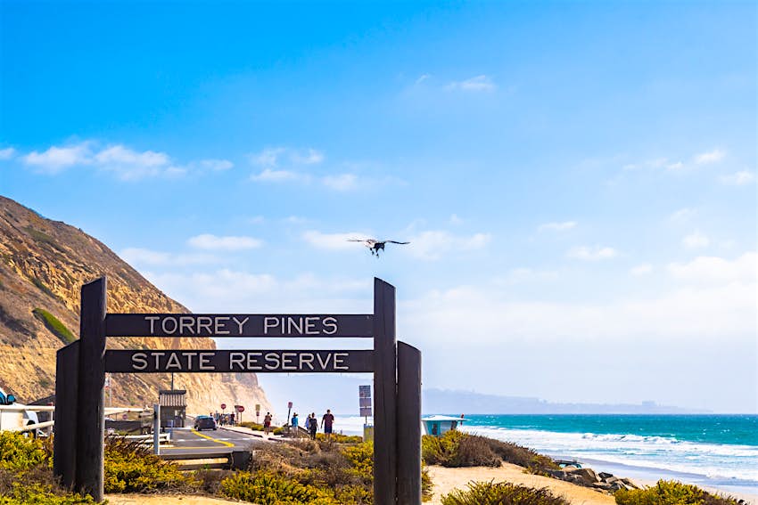 Torrey Pines State Reserve Park, La Jolla Wooden sign saying "Torrey Pines State Reserve" in La Jolla