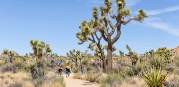 Item photo for undefined