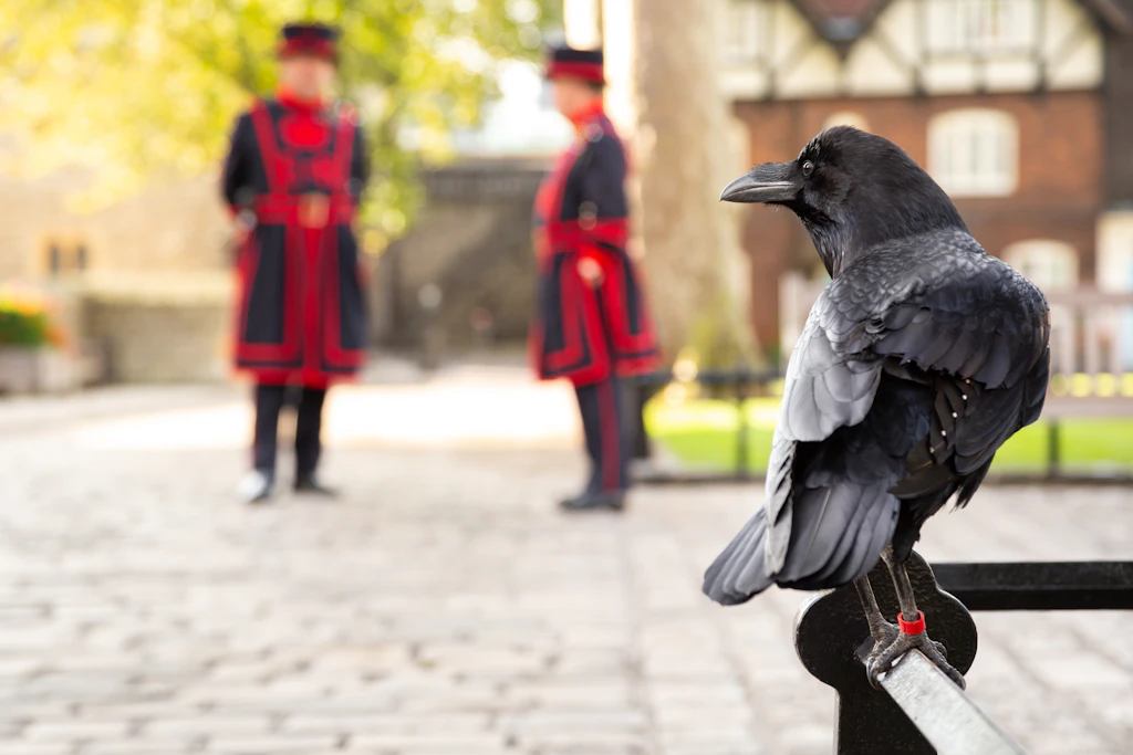 A black raven sits on a railing in the foreground; two Yeoman Warders in distinctive black and red uniforms stand in the background