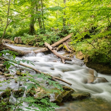 Long exposure of water cascading over rocks in lush green forest on the Bruce Trail near Owen Sound.